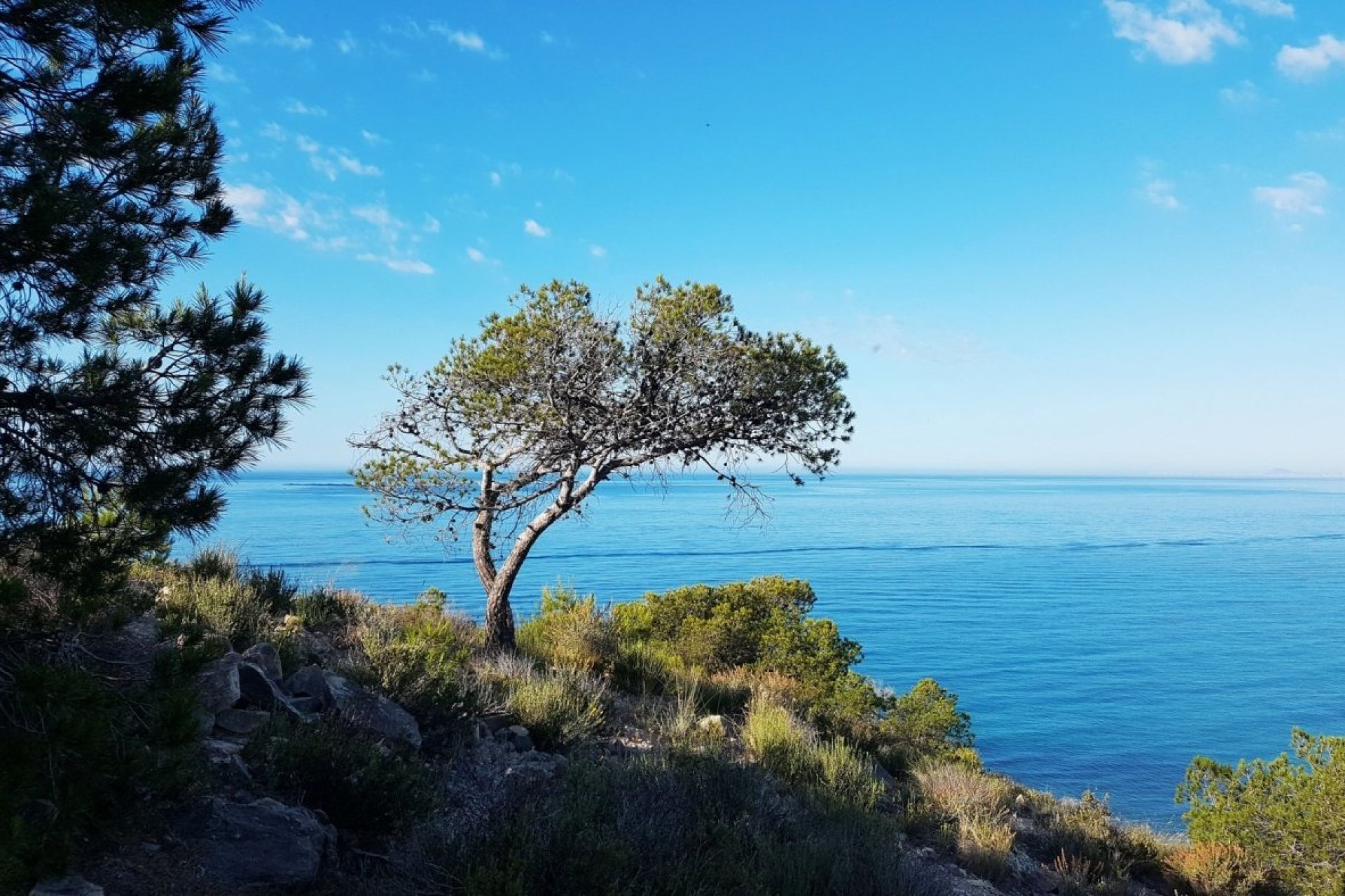 Nieuwbouw  - Apartment - Villajoyosa - Playa Les Torres