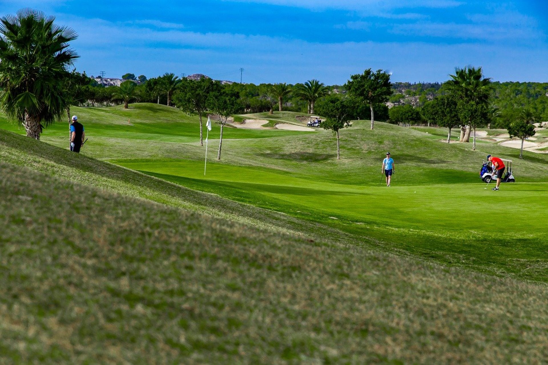 Nieuwbouw  - Bungalow - Orihuela - Vistabella Golf