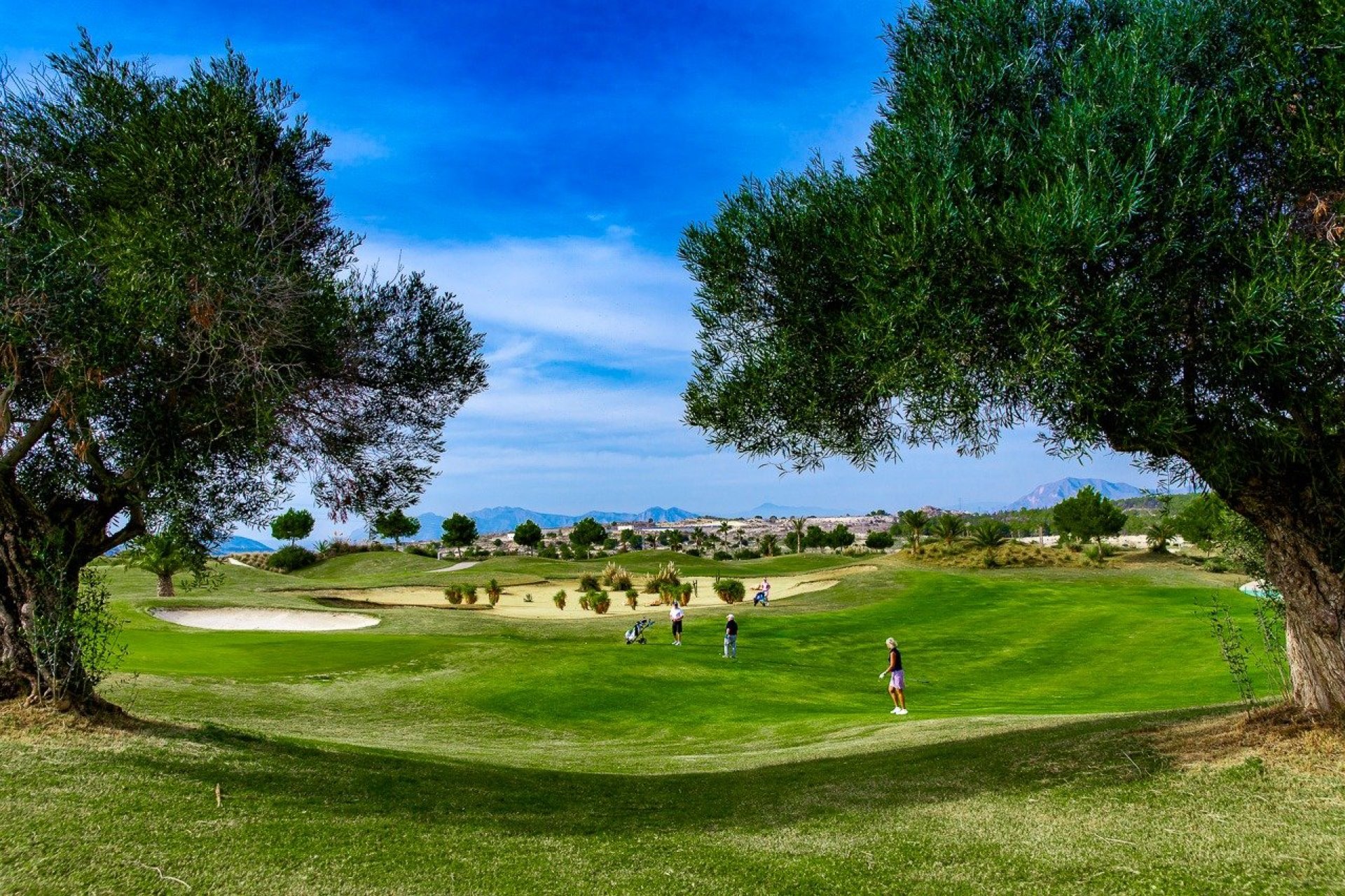 Nieuwbouw  - Bungalow - Orihuela - Vistabella Golf