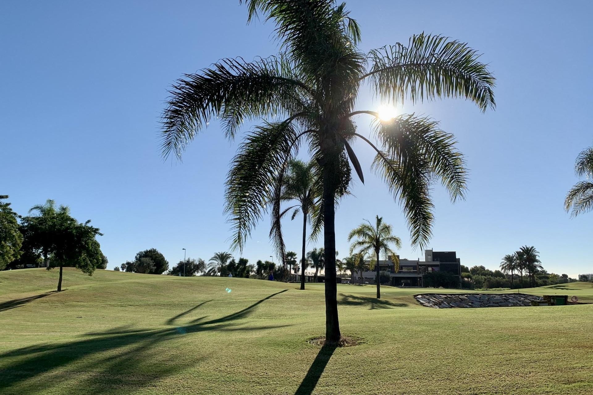 Nieuwbouw  - Bungalow - San Javier - Roda Golf