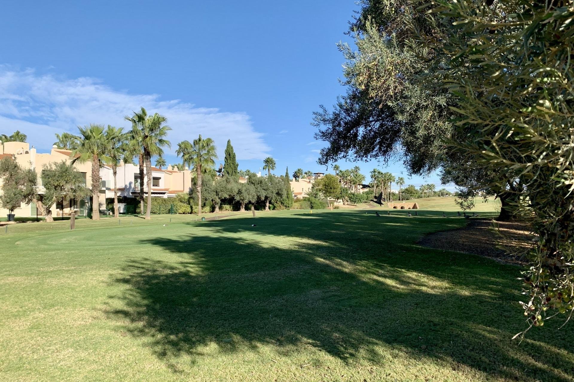 Nieuwbouw  - Bungalow - San Javier - Roda Golf