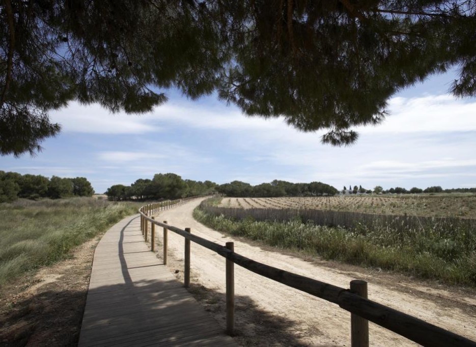 Nieuwbouw  - Bungalow - Torrevieja - Aguas Nuevas