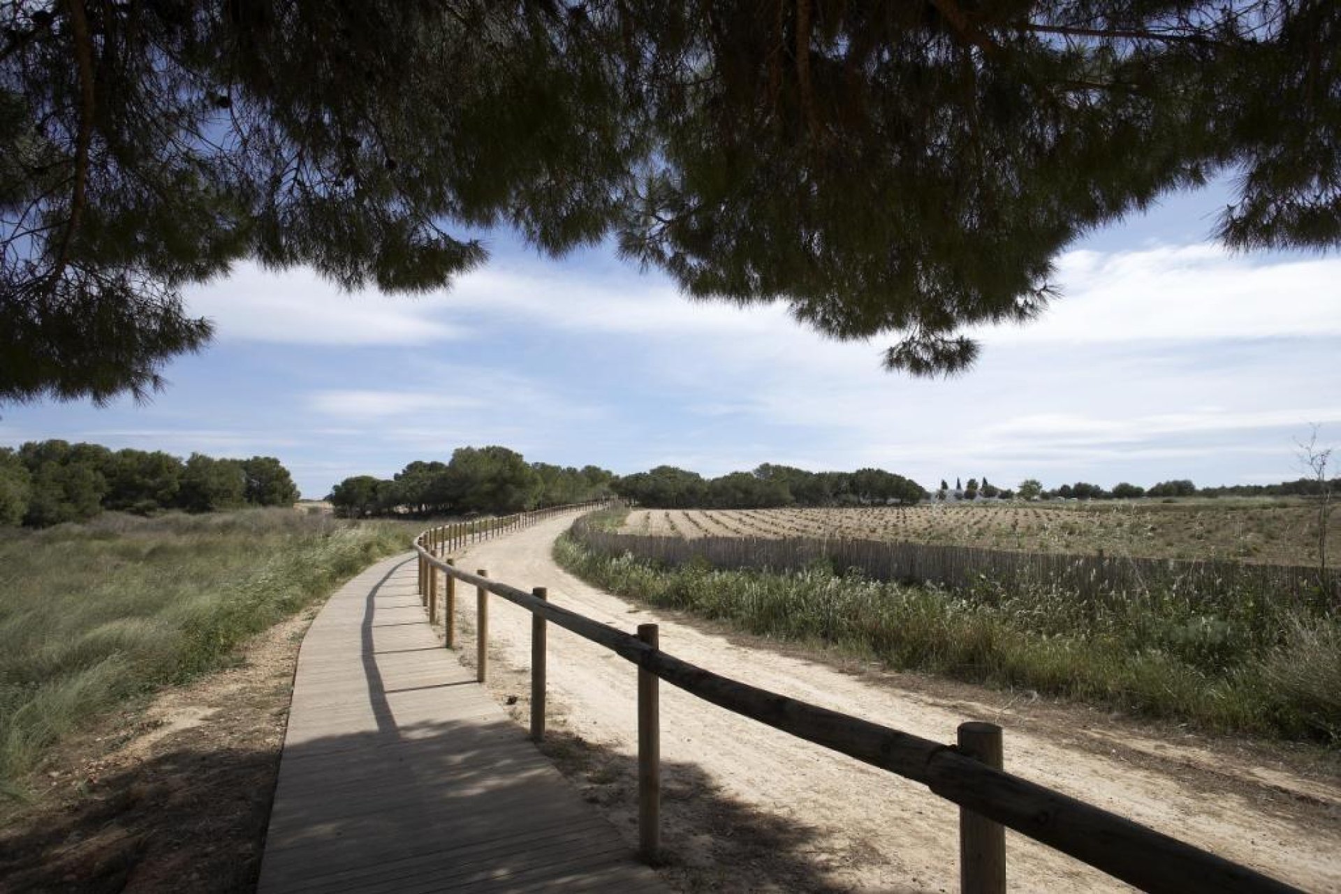 Nieuwbouw  - Bungalow - Torrevieja - Aguas Nuevas