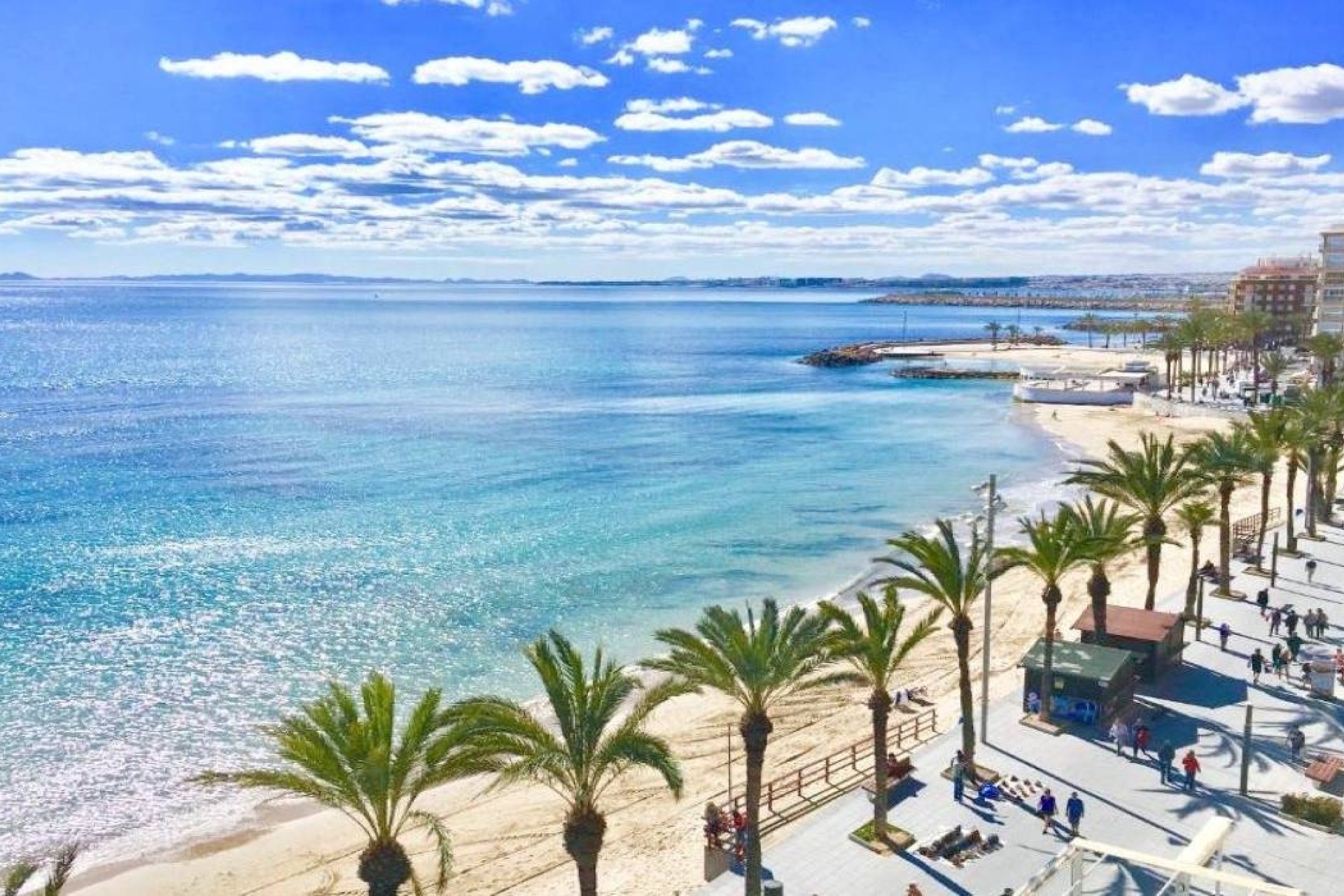 Nieuwbouw  - Bungalow - Torrevieja - Lago Jardín II