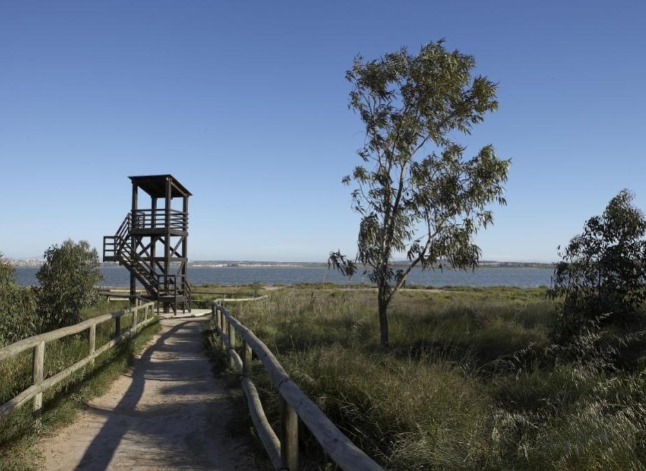 Nieuwbouw  - Bungalow - Torrevieja - Torrejón