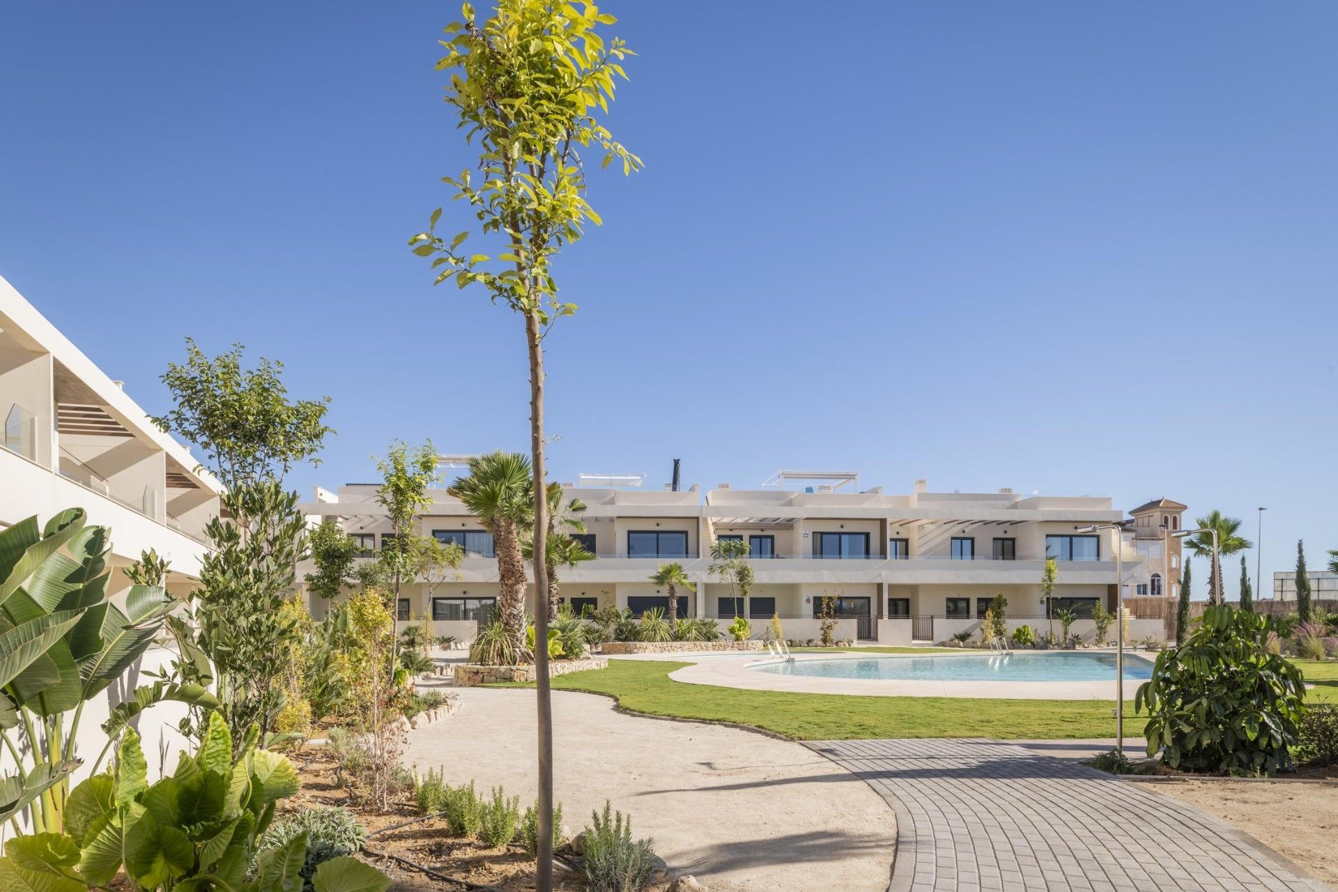 Nieuwbouw  - Bungalow - Torrevieja - Villa Amalia