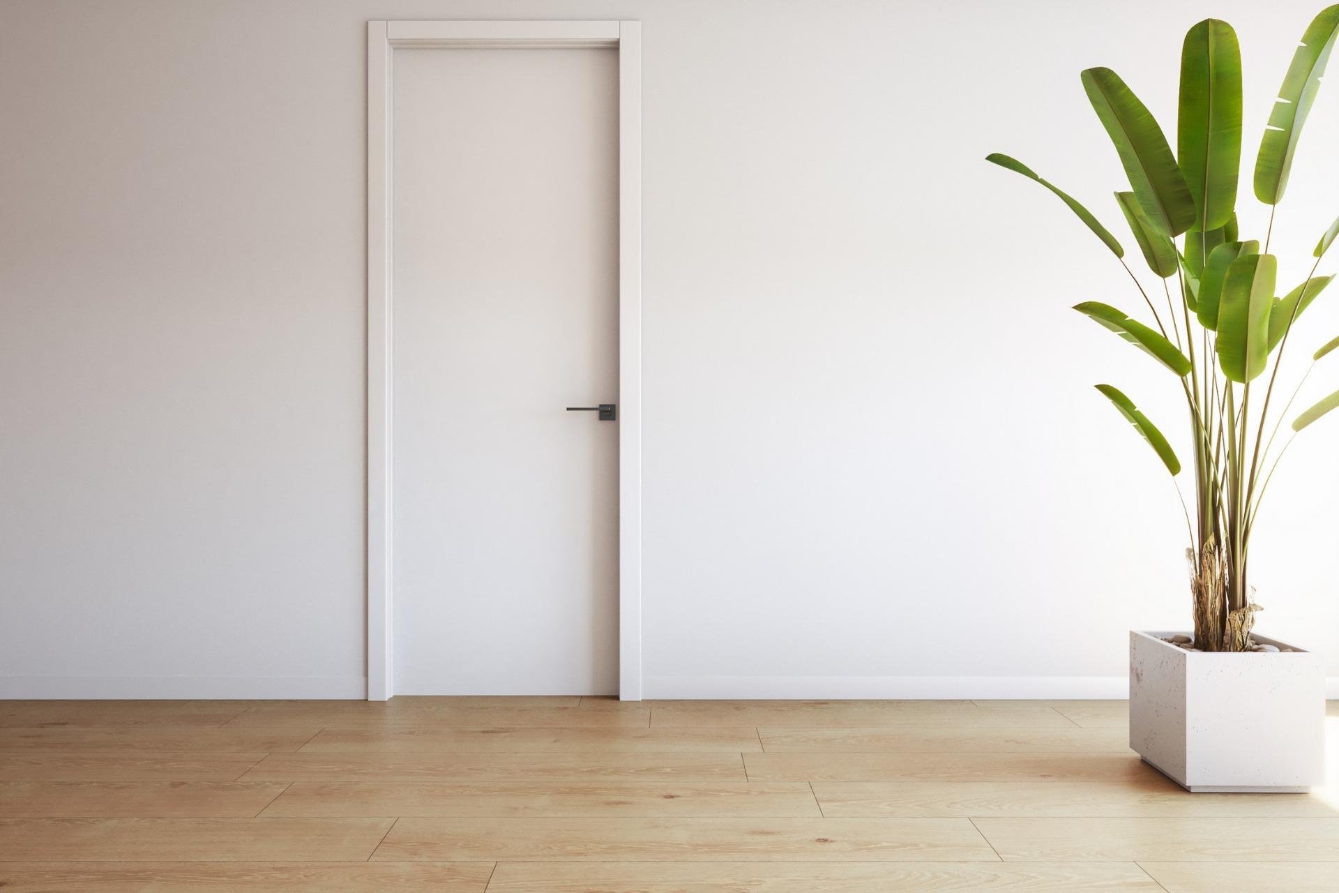 Nieuwbouw  - Penthouse - Torrevieja - Playa de El Cura