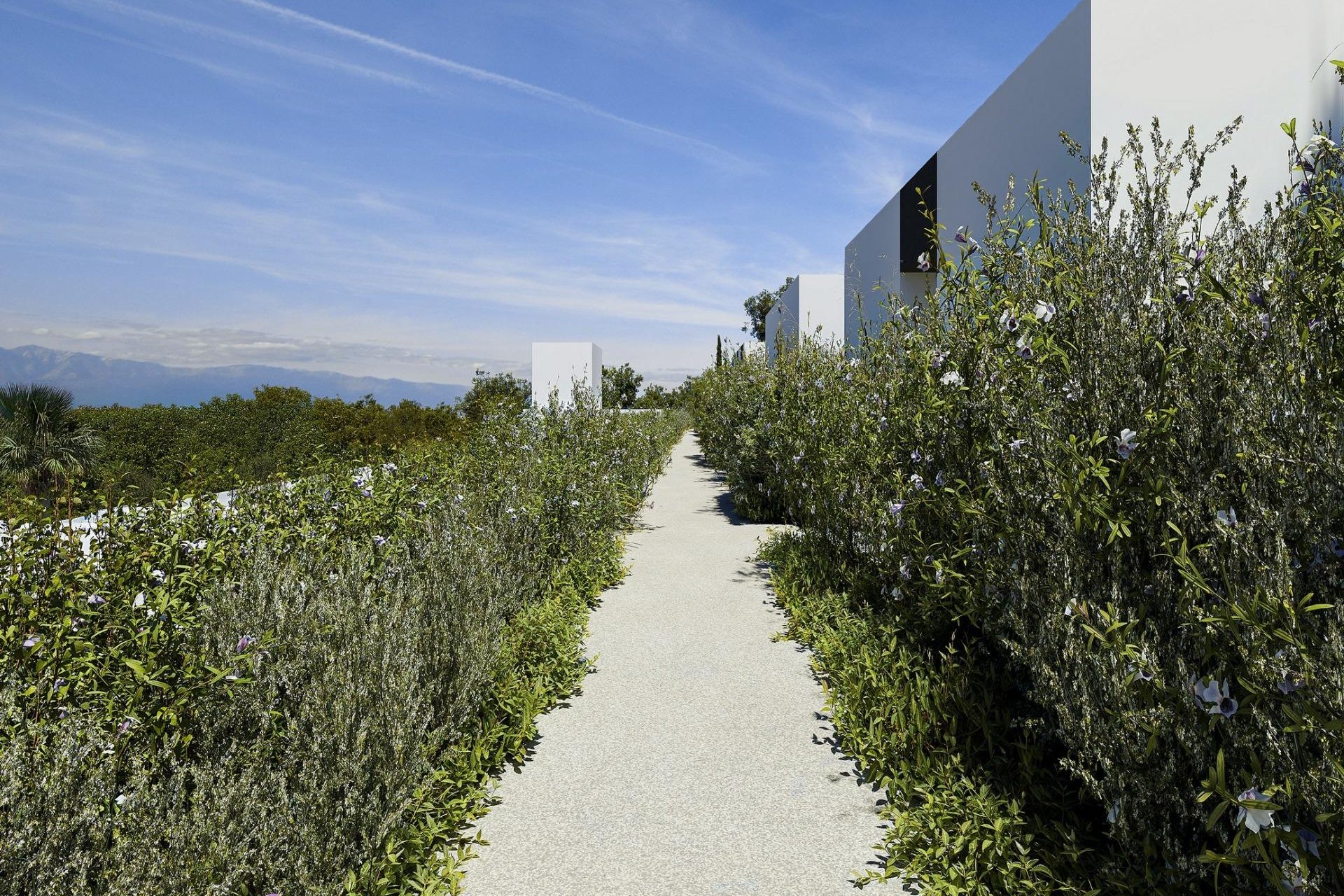 Nieuwbouw  - Villa - Alfas del Pí - Barranc Fondo