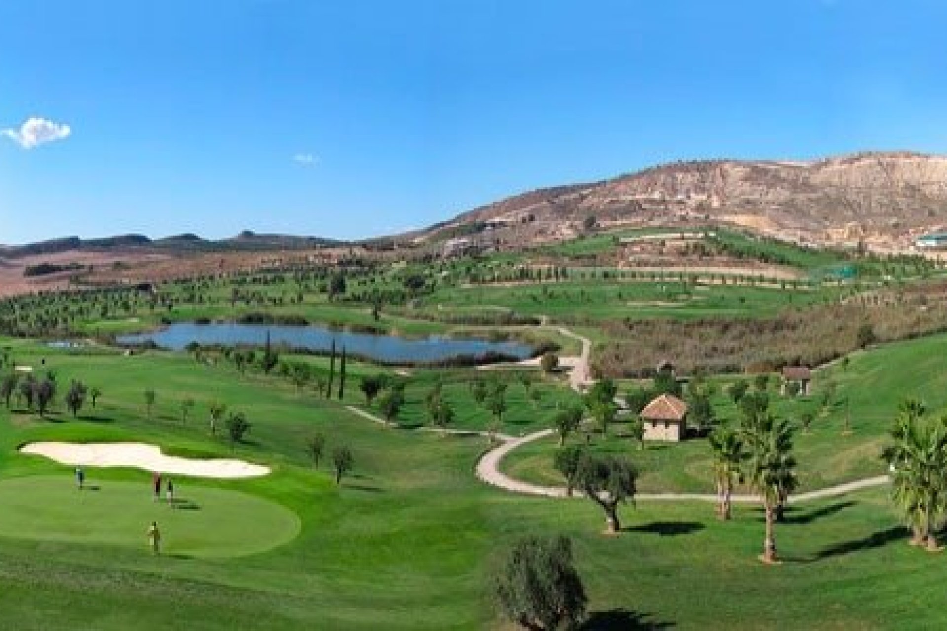 Nieuwbouw  - Villa - Algorfa - La Finca Golf