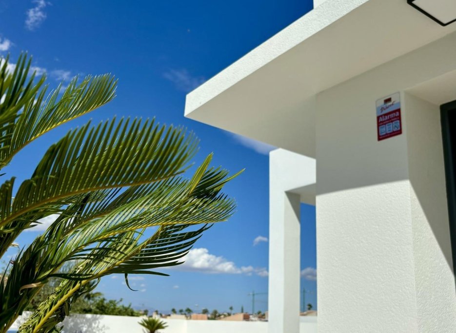 Nieuwbouw  - Villa - Benijofar - Pueblo