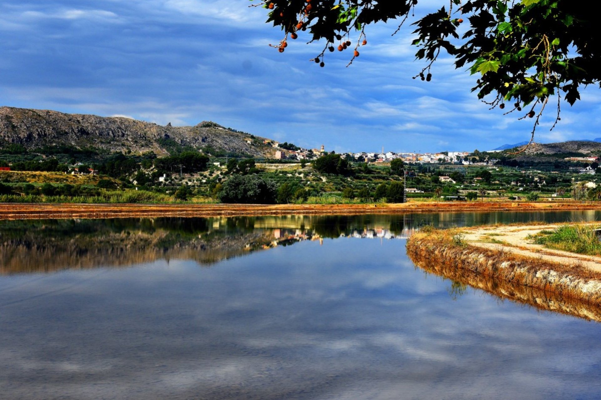 Nieuwbouw  - Villa - Calasparra - Coto Riñales