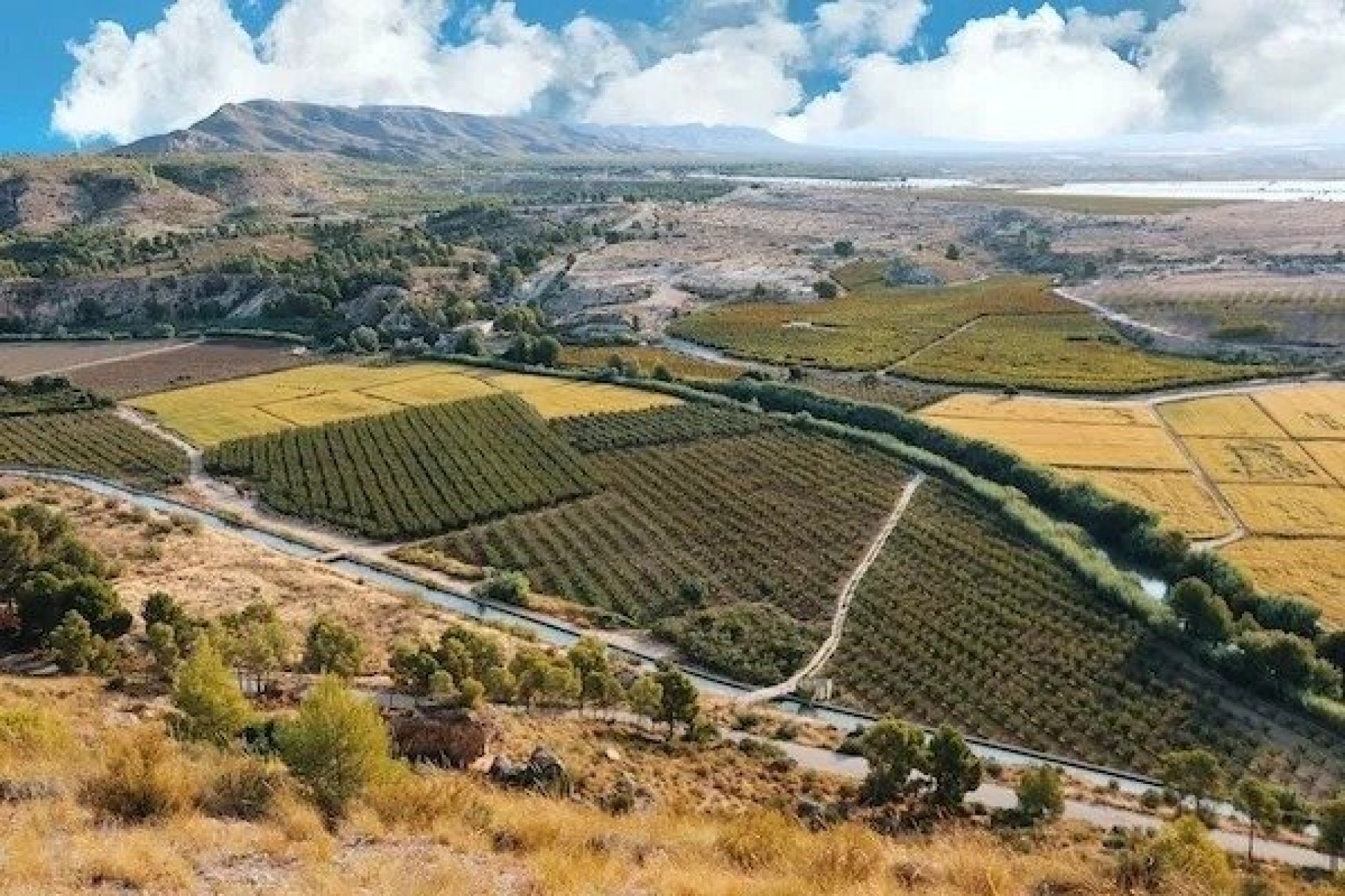 Nieuwbouw  - Villa - Calasparra - Coto Riñales