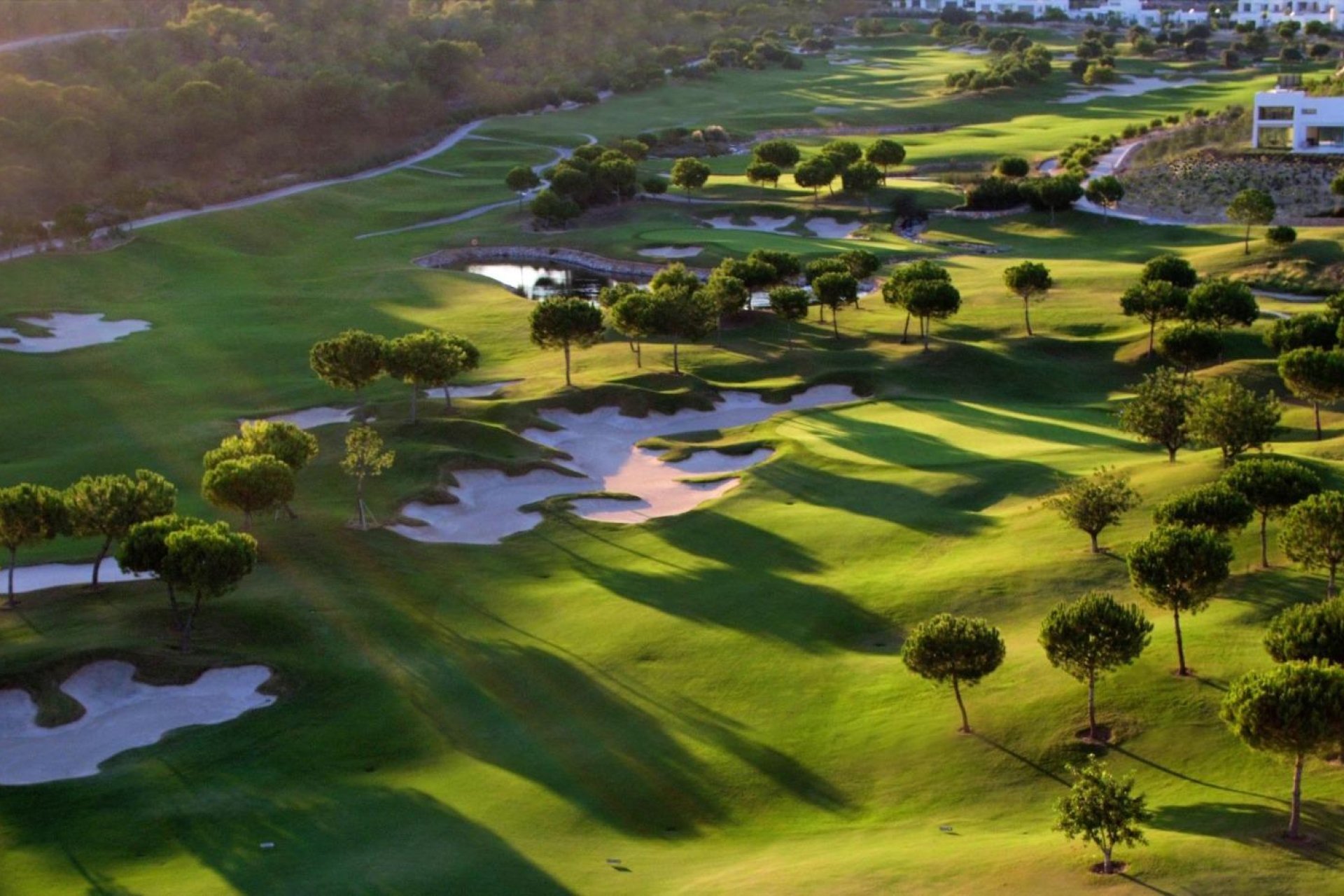 Nieuwbouw  - Villa - Orihuela - Las Colinas Golf