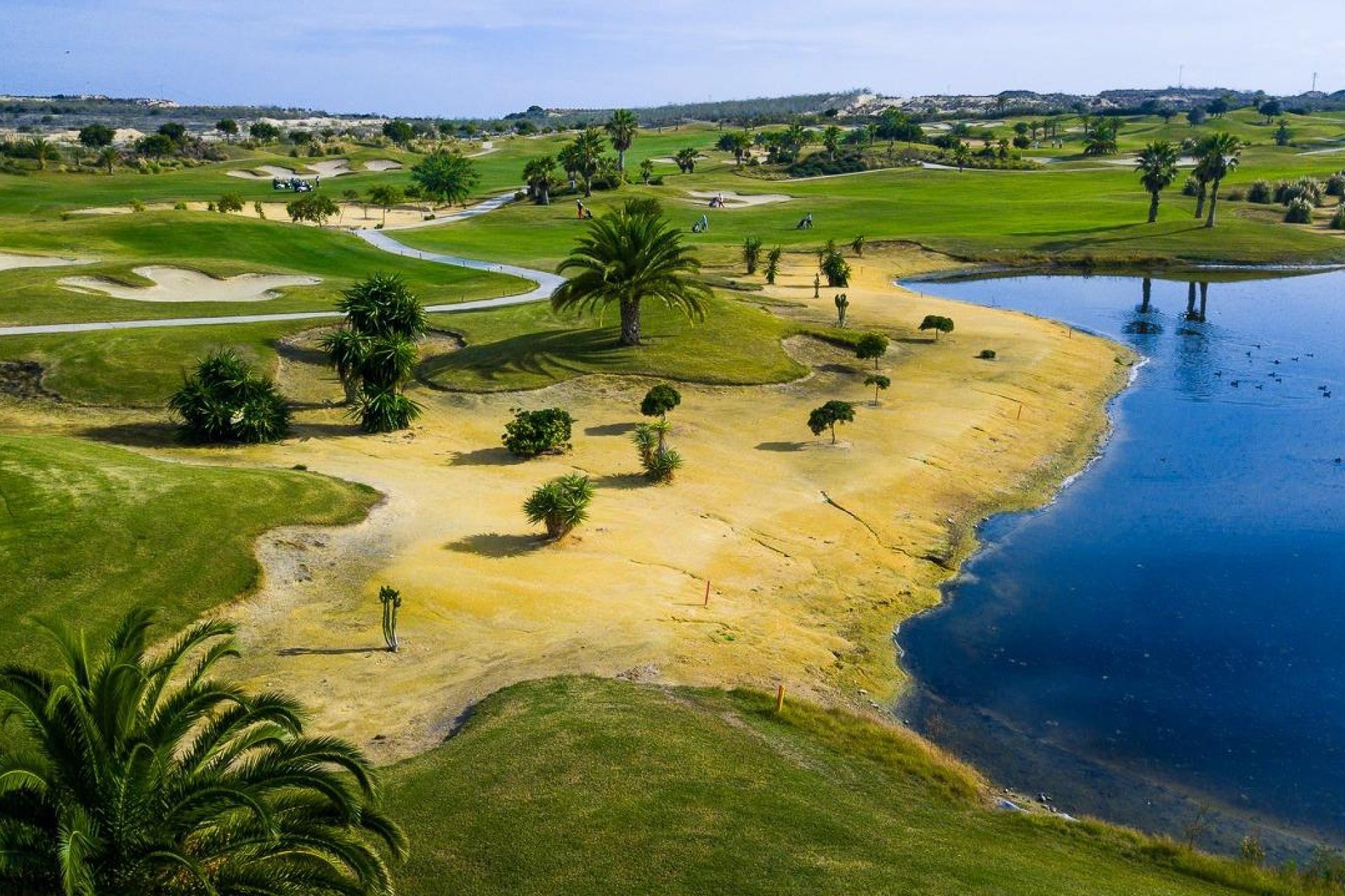 Nieuwbouw  - Villa - Orihuela - Vistabella Golf