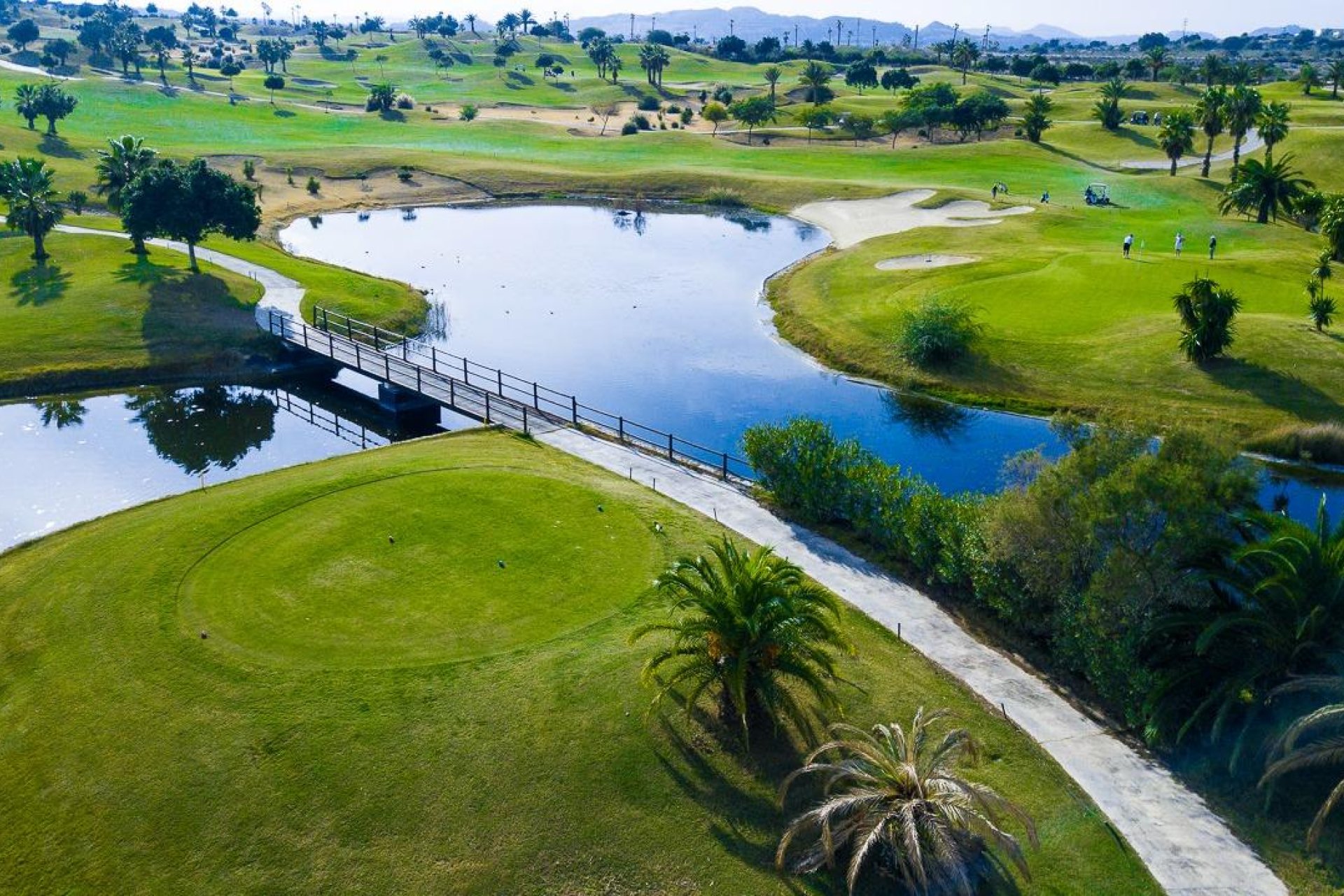 Nieuwbouw  - Villa - Orihuela - Vistabella Golf