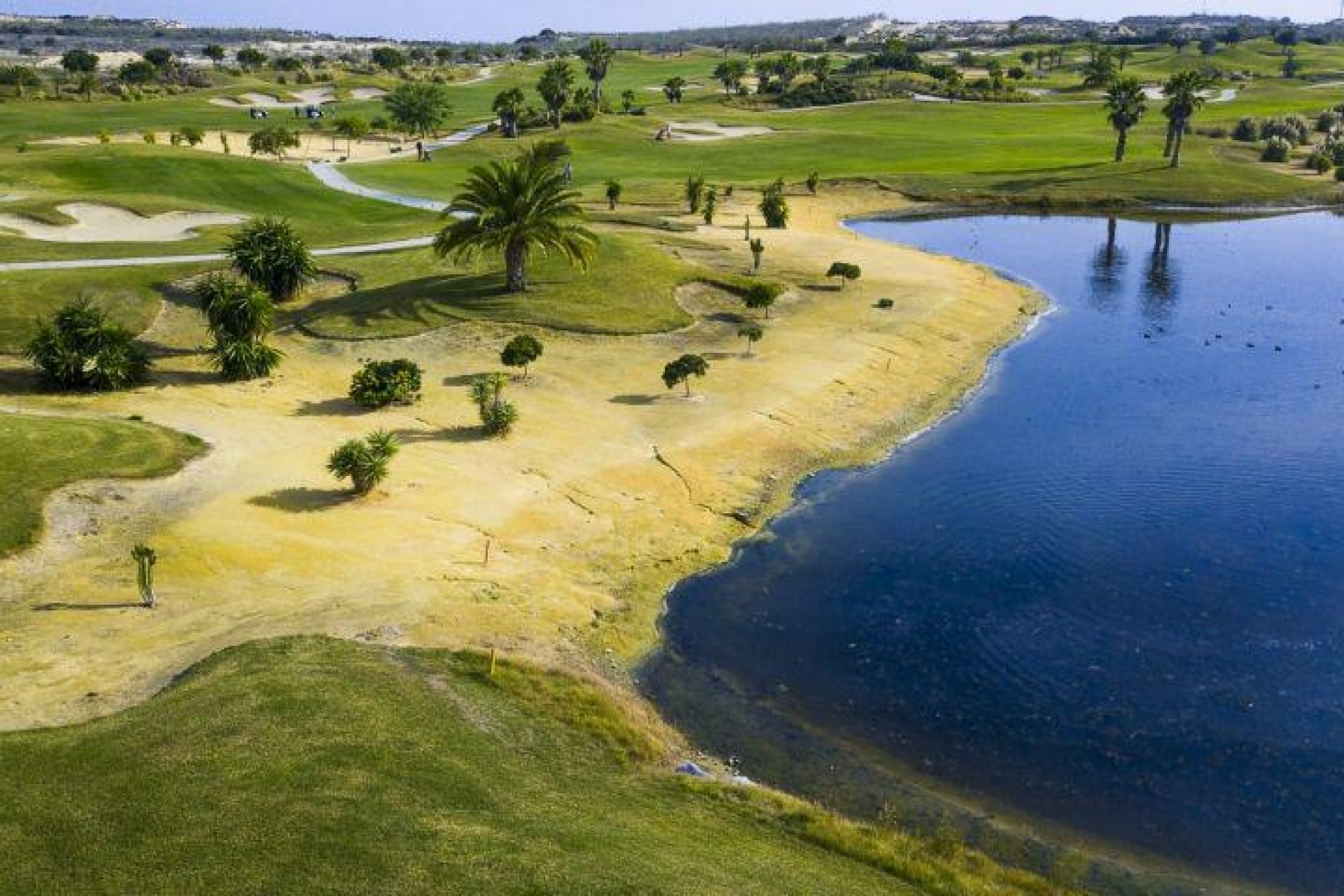 Nieuwbouw  - Villa - Orihuela - Vistabella Golf