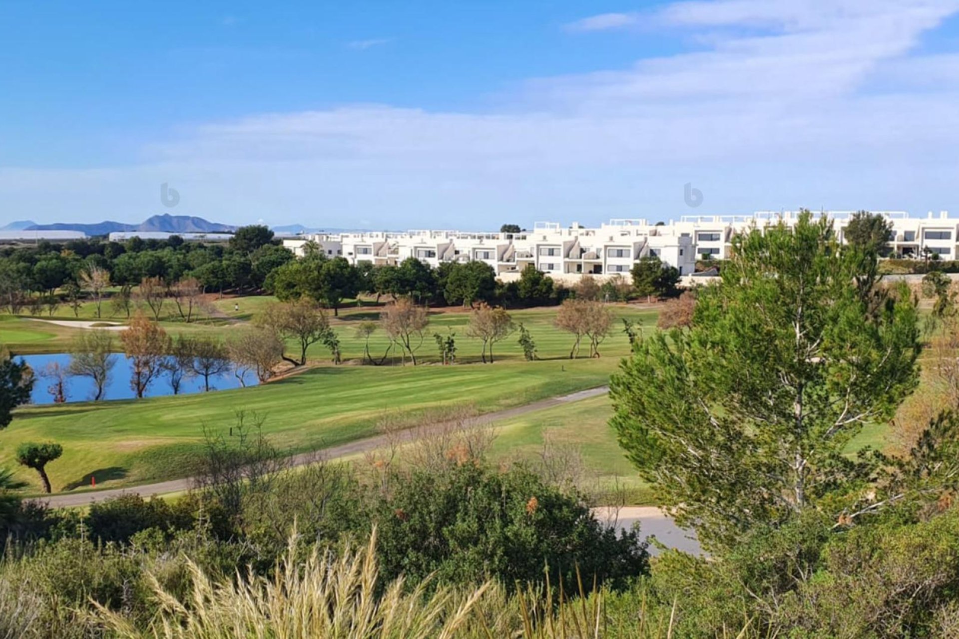 Nieuwbouw  - Villa - Pilar de la Horadada - Lo Romero Golf