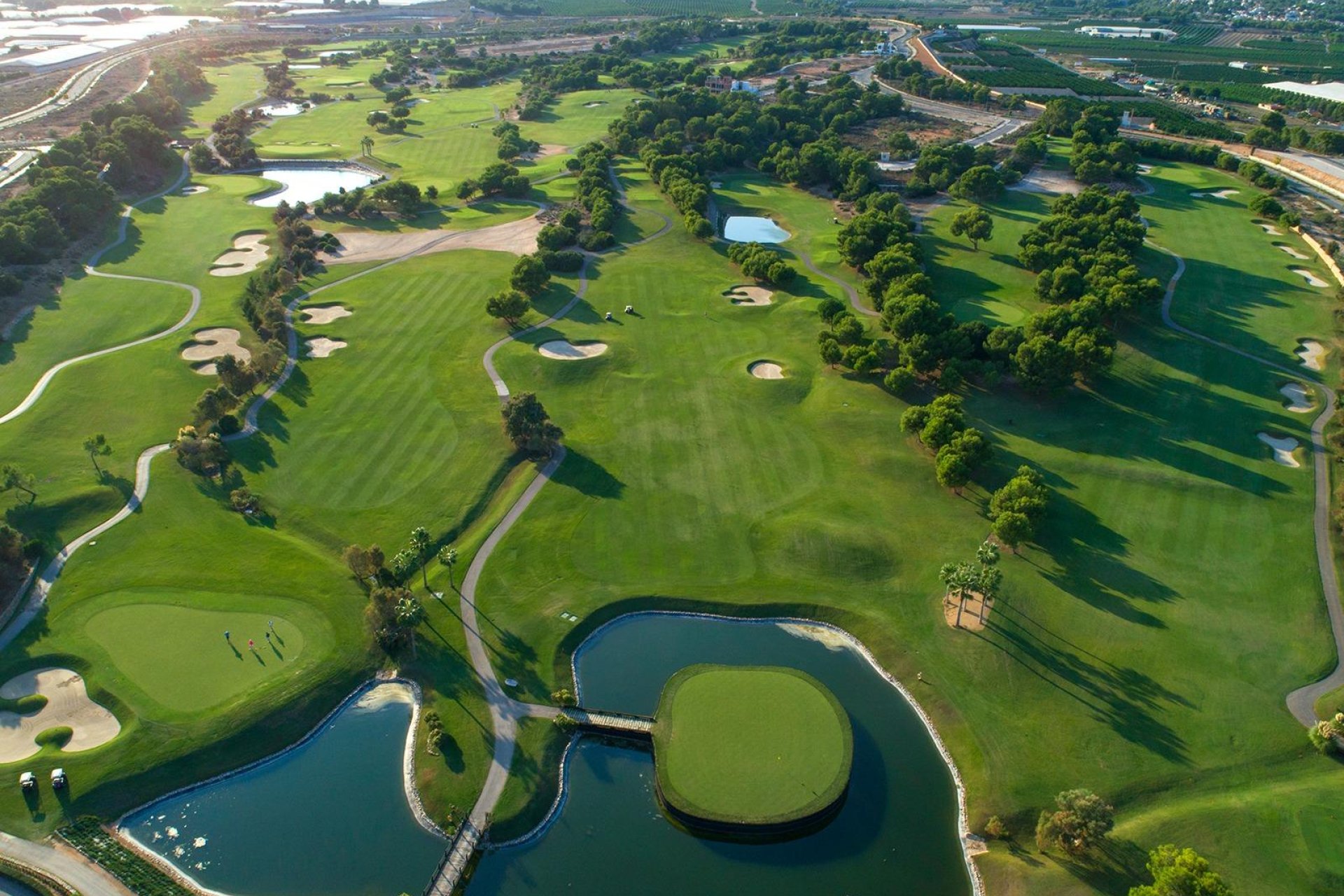 Nieuwbouw  - Villa - Pilar de la Horadada - Lo Romero Golf