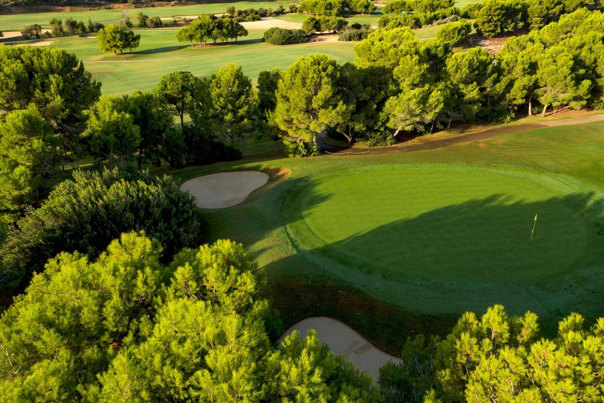 Nieuwbouw  - Villa - Pilar de la Horadada - Lo Romero Golf