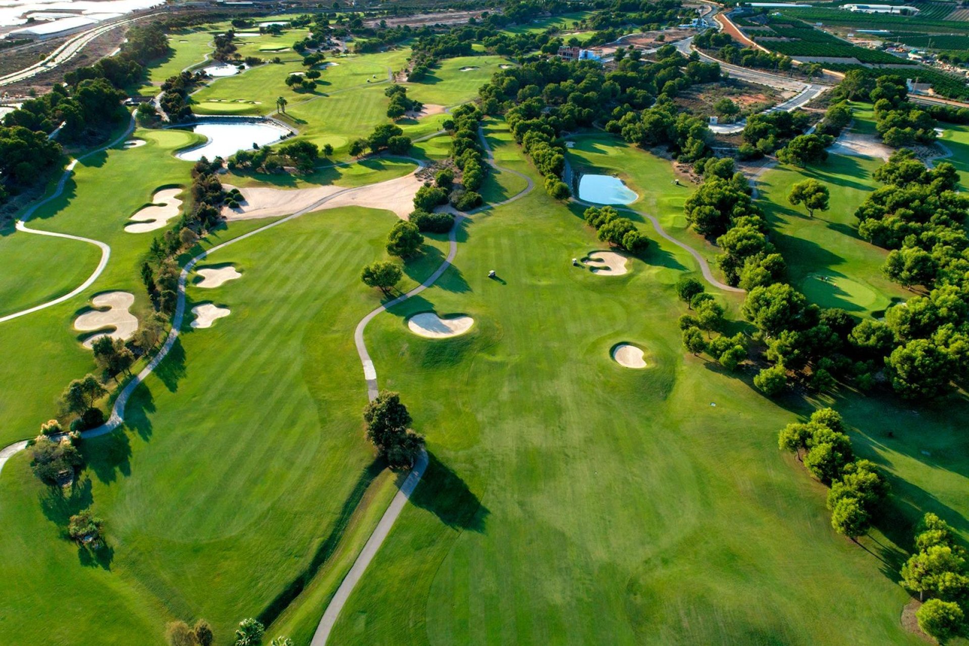 Nieuwbouw  - Villa - Pilar de la Horadada - Lo Romero Golf