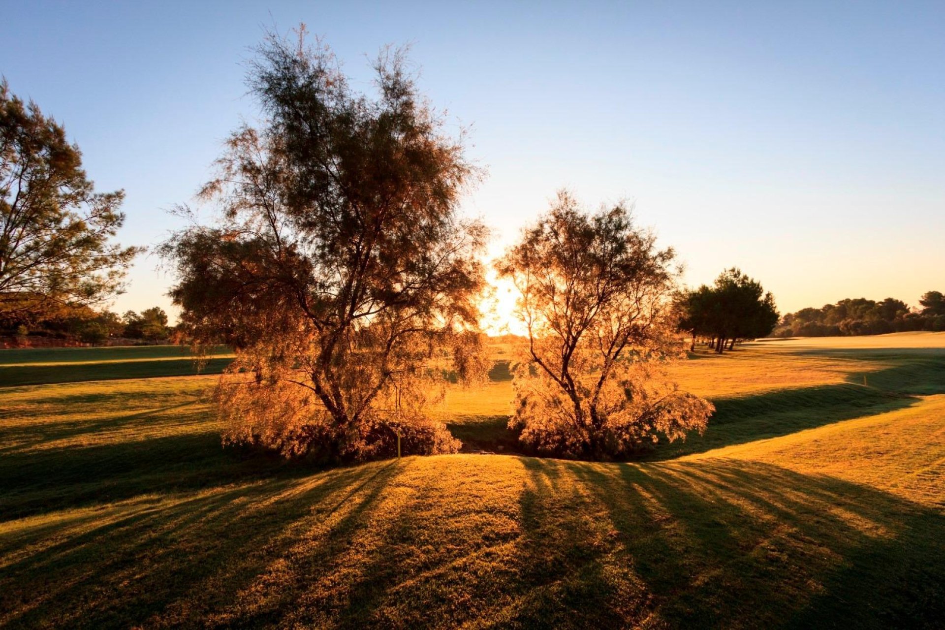 Nieuwbouw  - Villa - Pilar de la Horadada - Lo Romero Golf