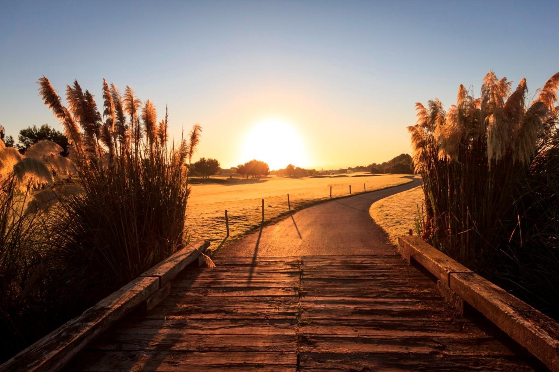 Nieuwbouw  - Villa - Pilar de la Horadada - Lo Romero Golf