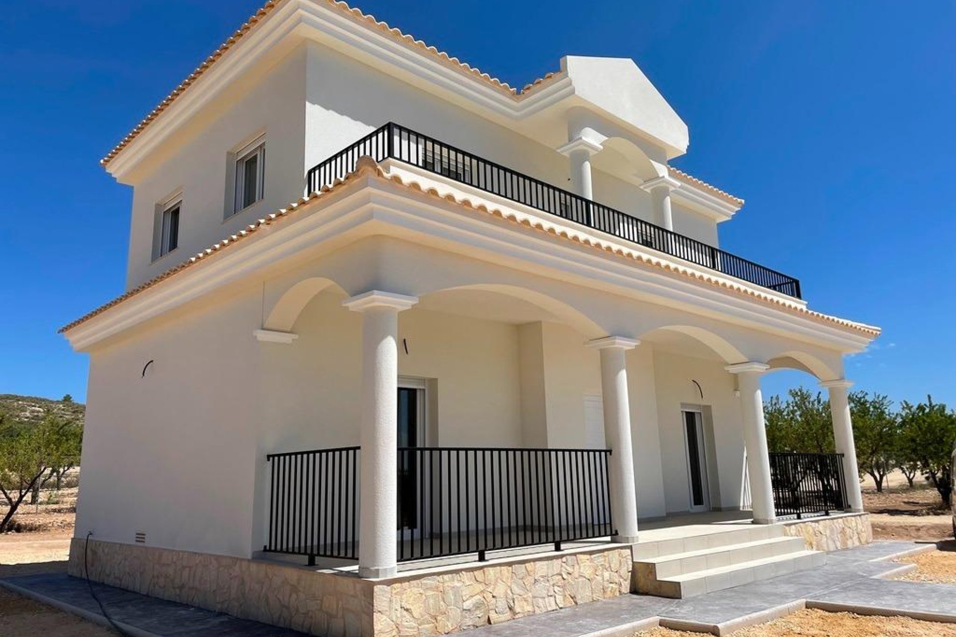 Nieuwbouw  - Villa - Pinoso - Camino Del Prado