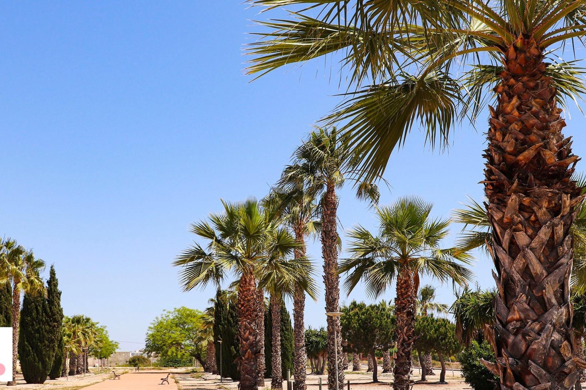 Nieuwbouw  - Villa - San Fulgencio - La Escuera