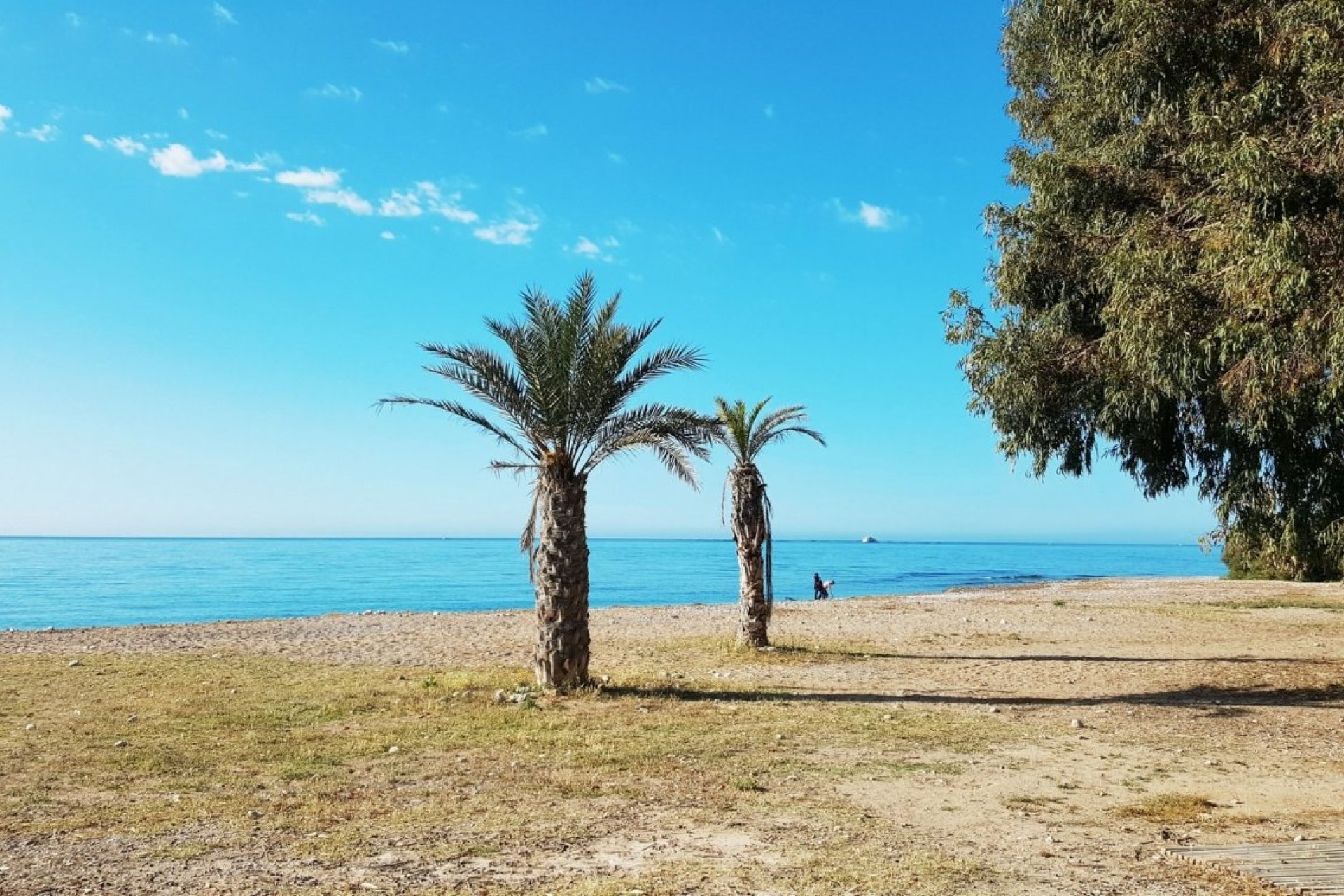 Nouvelle  - Apartment - Villajoyosa - Playas Del Torres