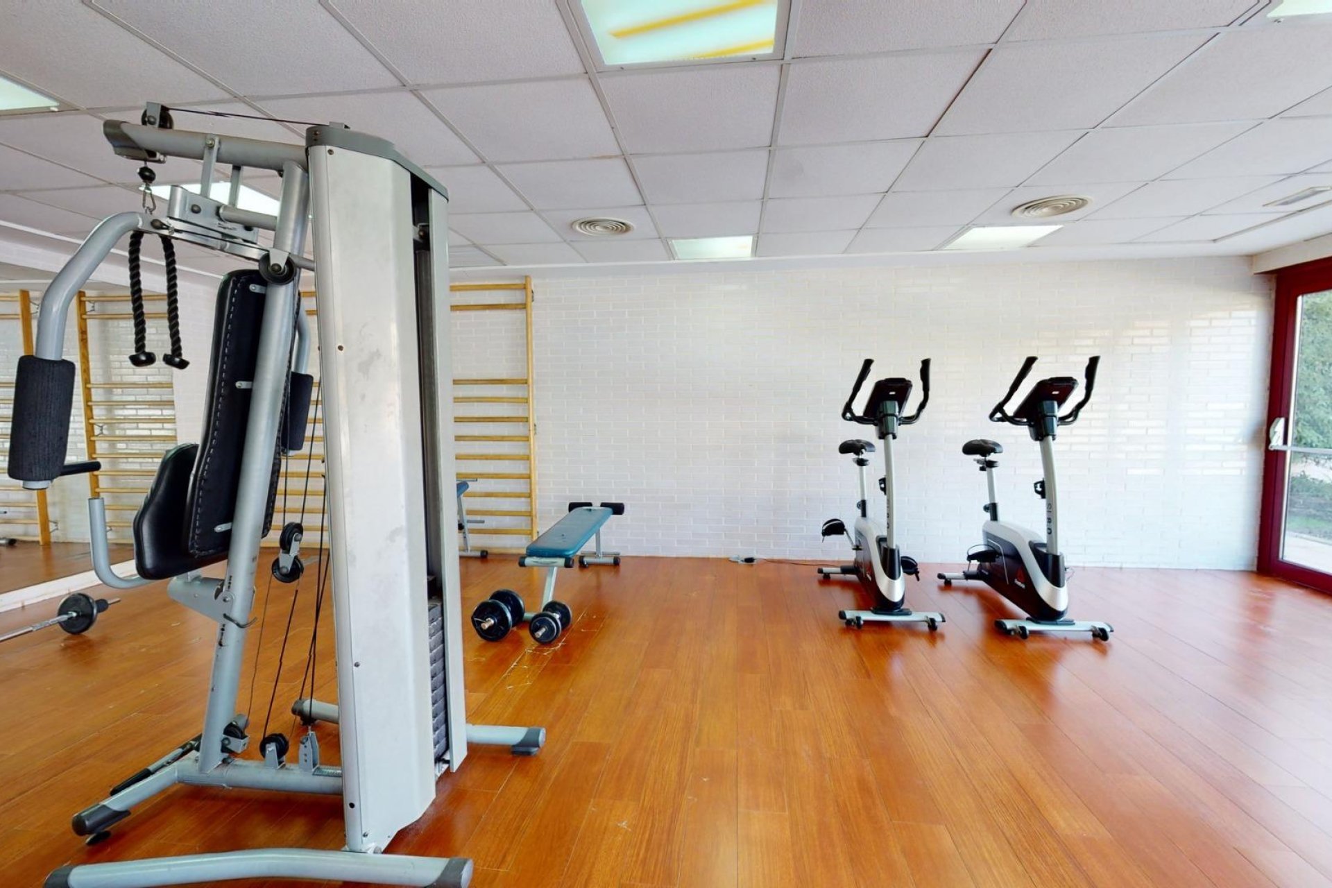 Nouvelle  - Attique - Archena - Villanueva del Rio Segura