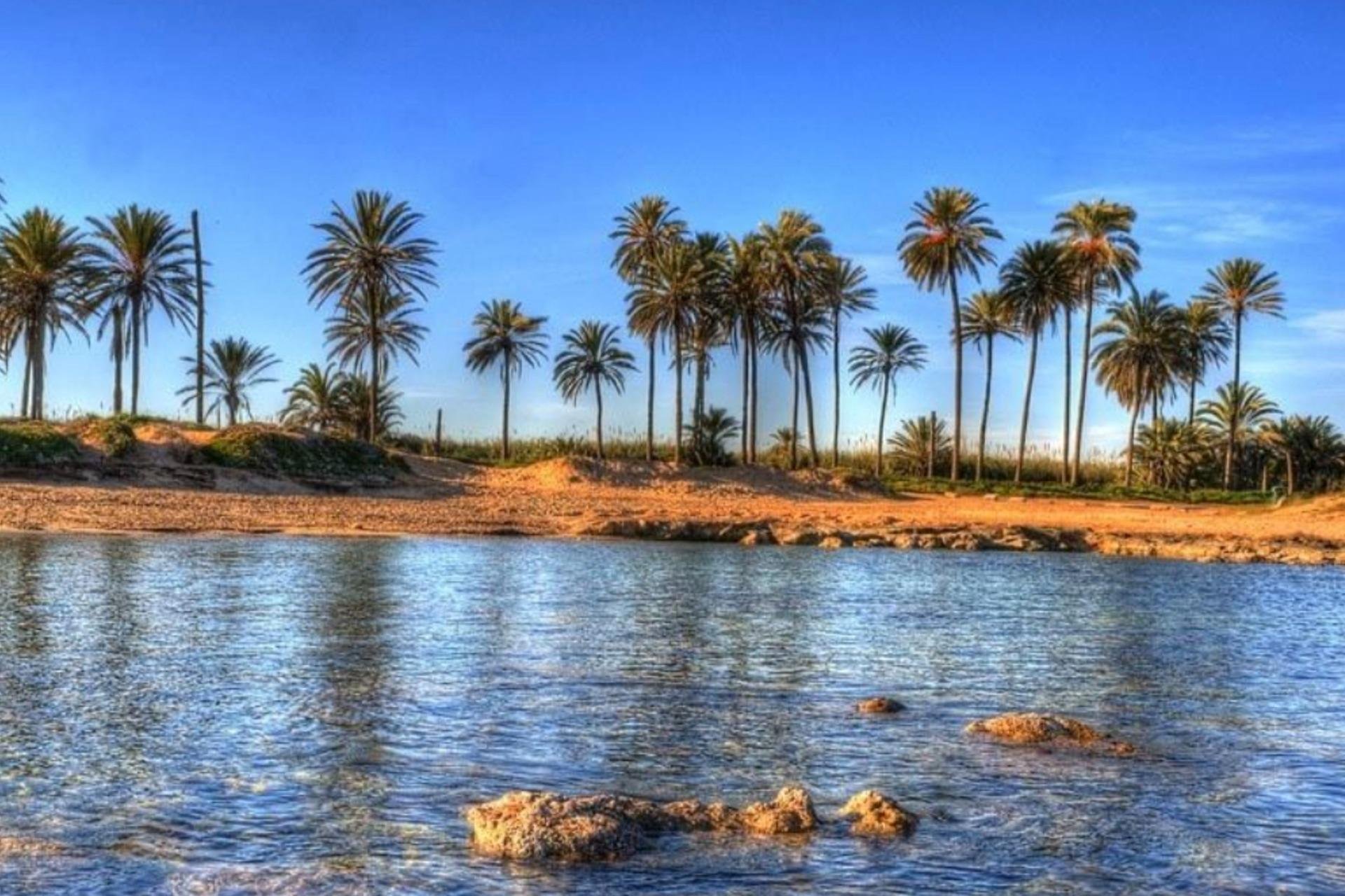 Nouvelle  - Attique - Torrevieja - Playa de El Cura