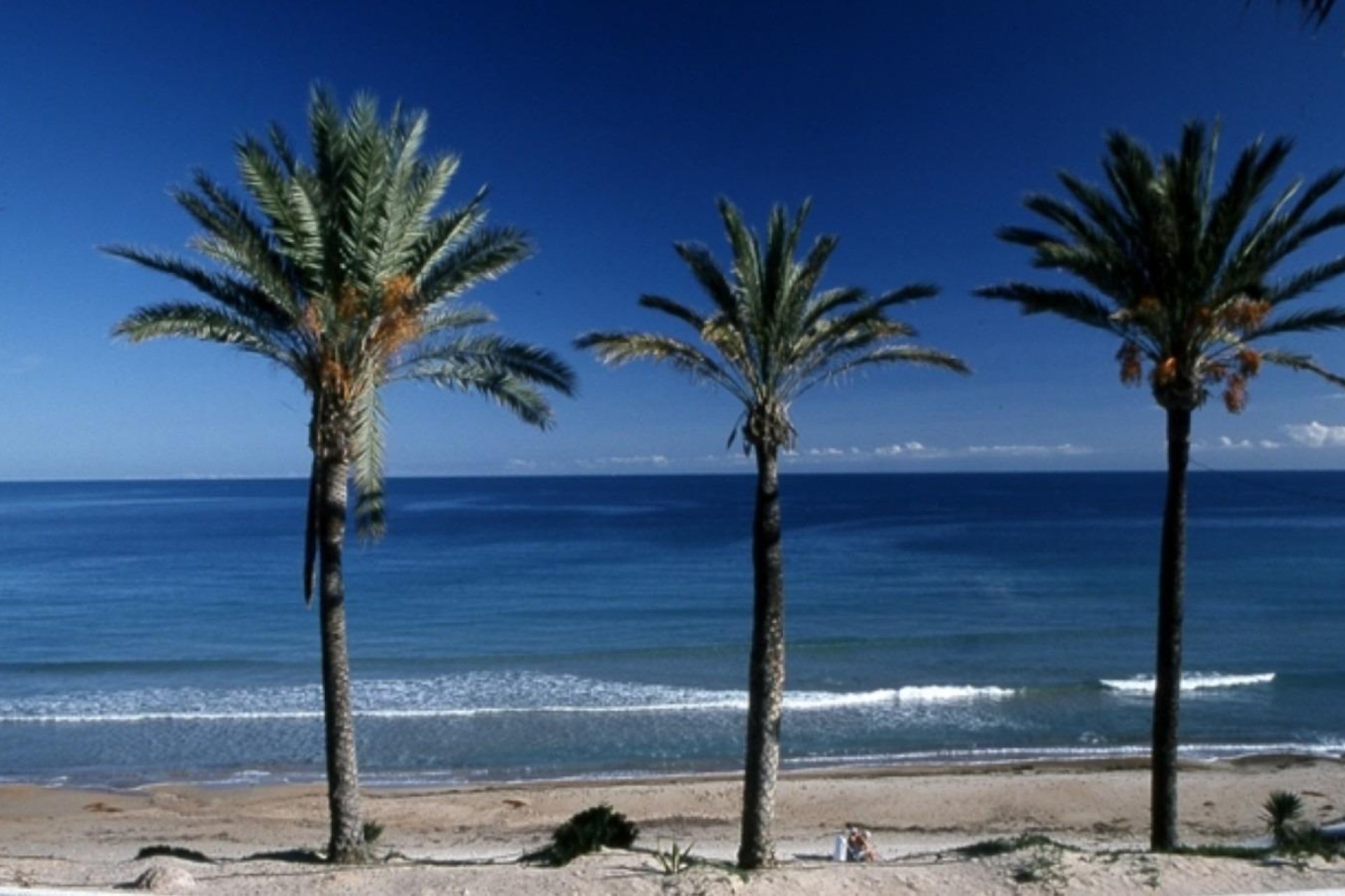 Nouvelle  - Bungalow - Pilar de la Horadada - Parque Ramon eugenio Escudero