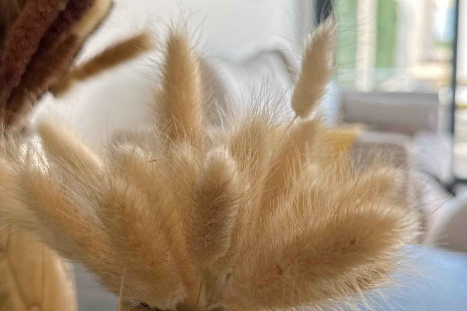 Nouvelle  - Bungalow - San Fulgencio - Pueblo