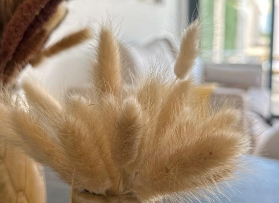 Nouvelle  - Bungalow - San Fulgencio - Pueblo