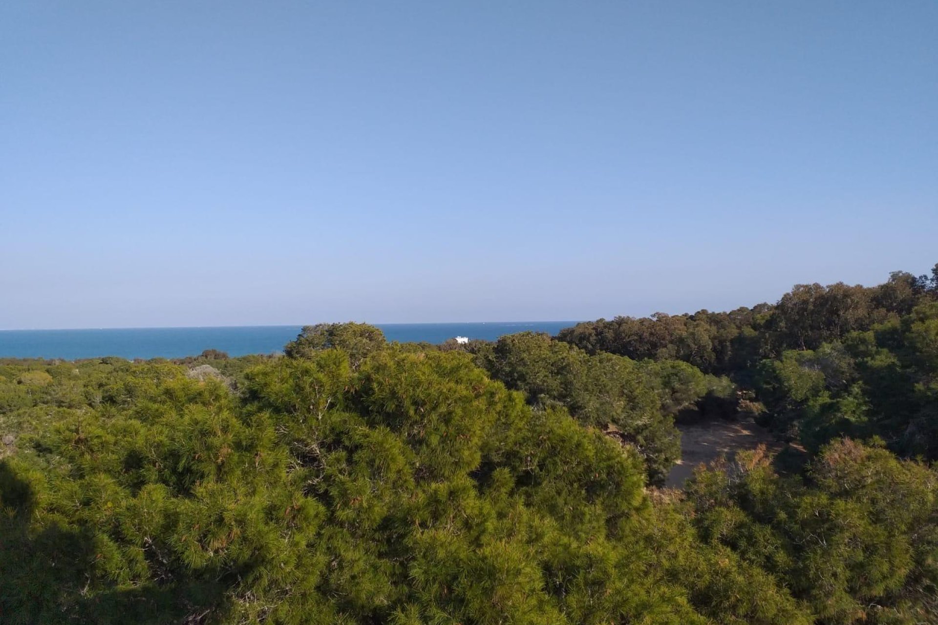 Nouvelle  - Ground floor apartment - Guardamar del Segura - Pueblo