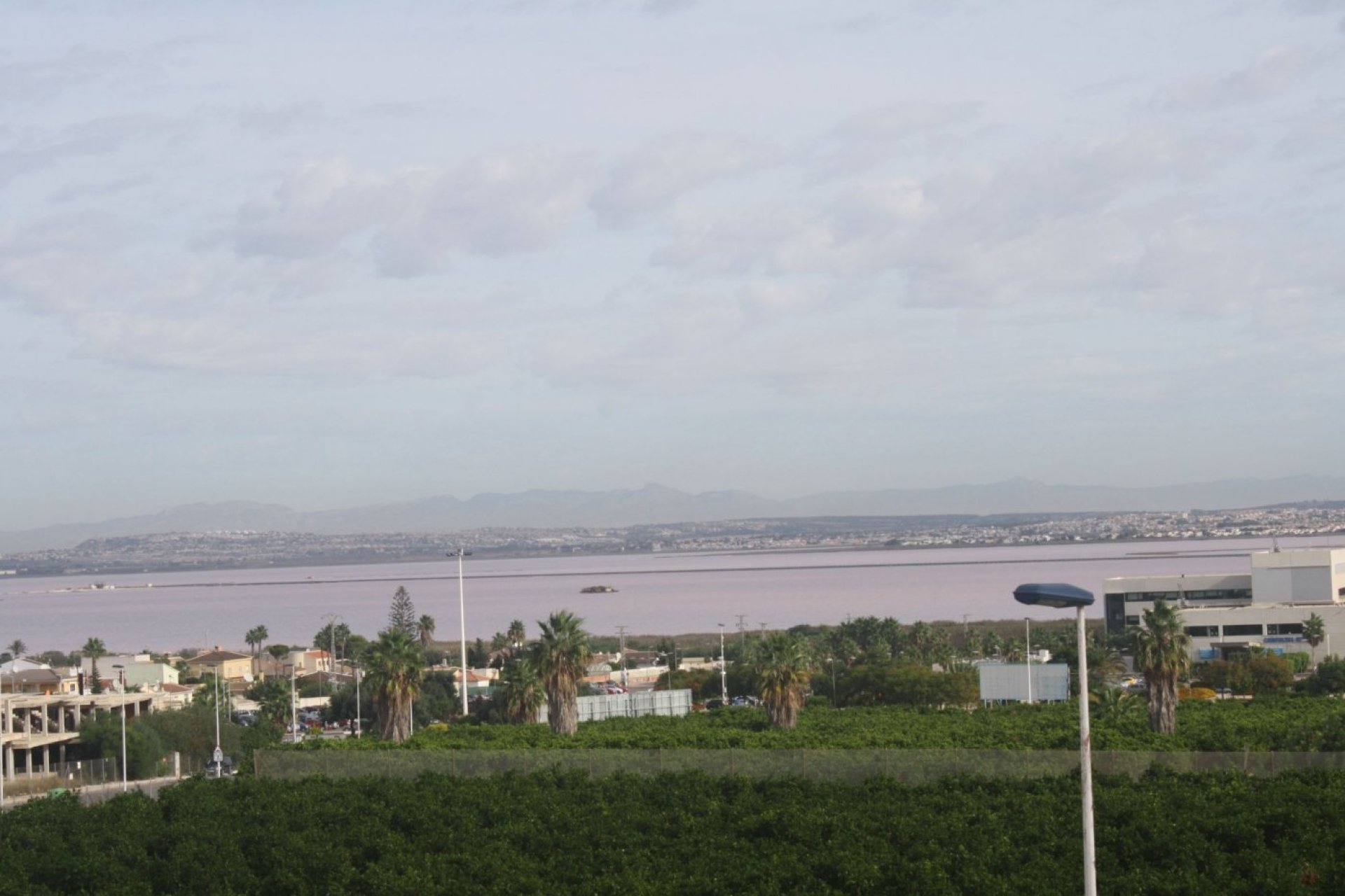 Nouvelle  - Maison de ville - Torrevieja - Los Altos