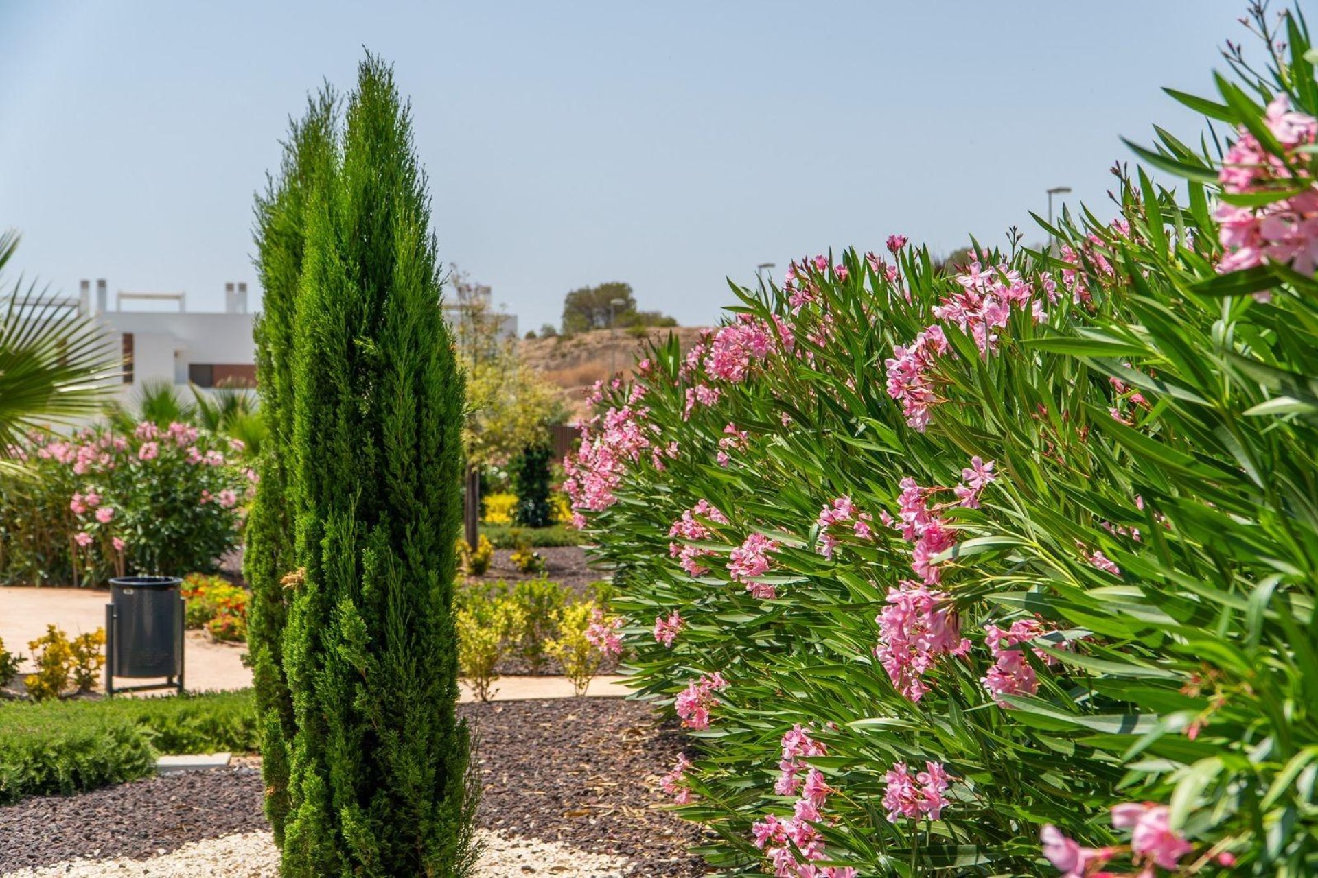 Nouvelle  - Top Floor Bungalow - Orihuela - Vistabella Golf