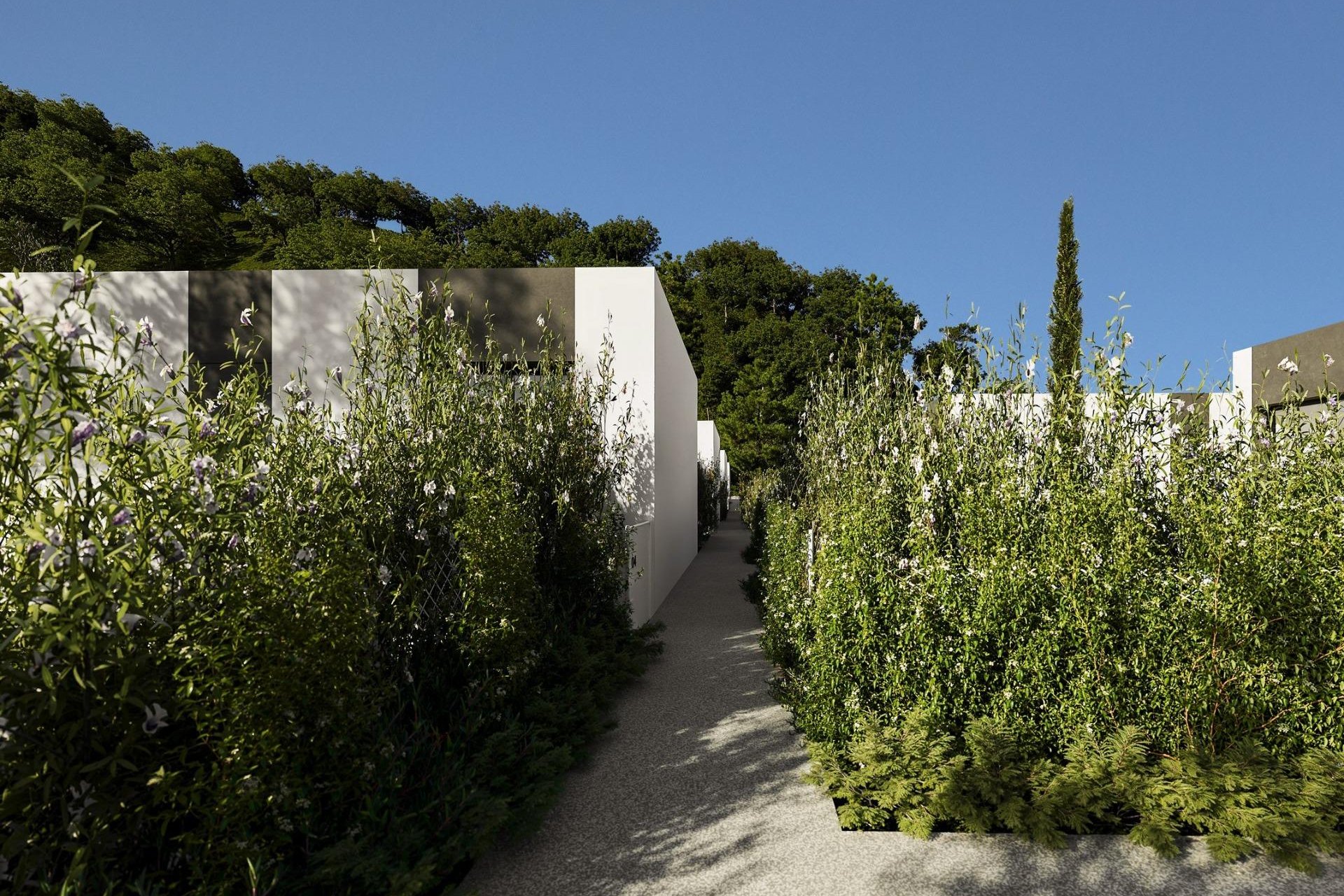 Nouvelle  - Villa - Alfas del Pí - Barranc Fondo