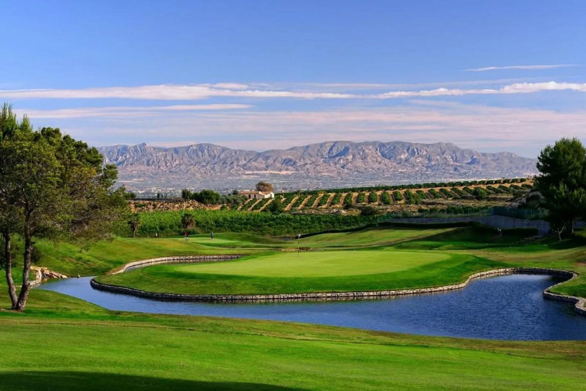 Nouvelle  - Villa - Algorfa - La Finca Golf