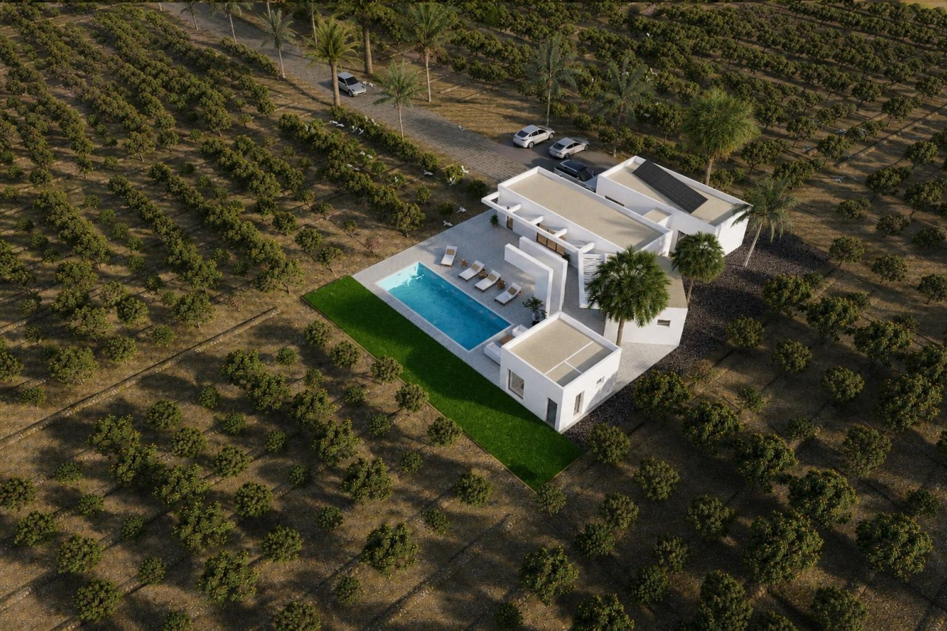 Nouvelle  - Villa - Benejúzar - alta