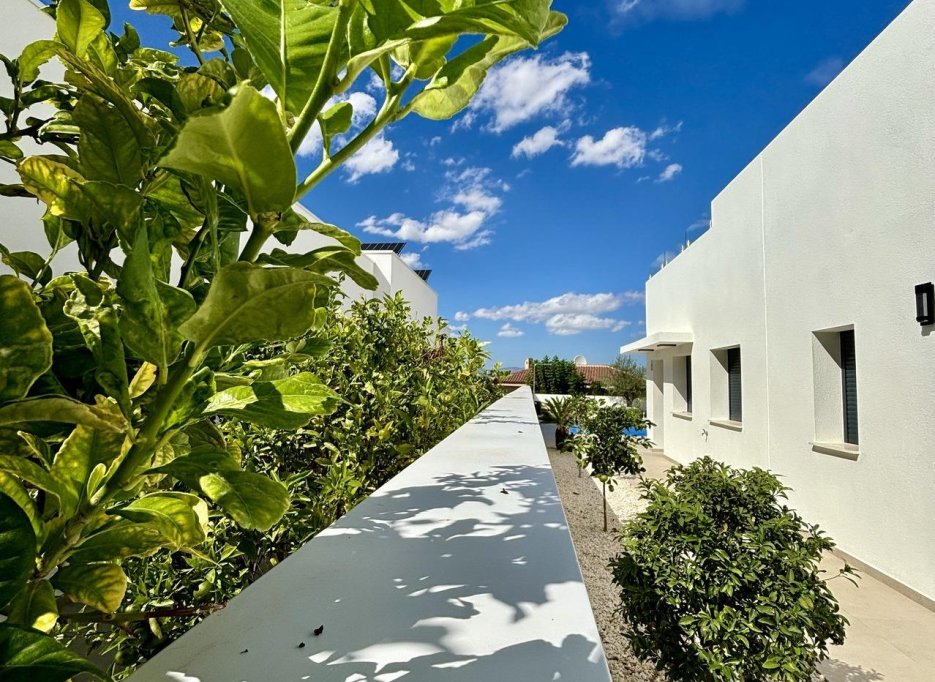 Nouvelle  - Villa - Benijofar - Pueblo