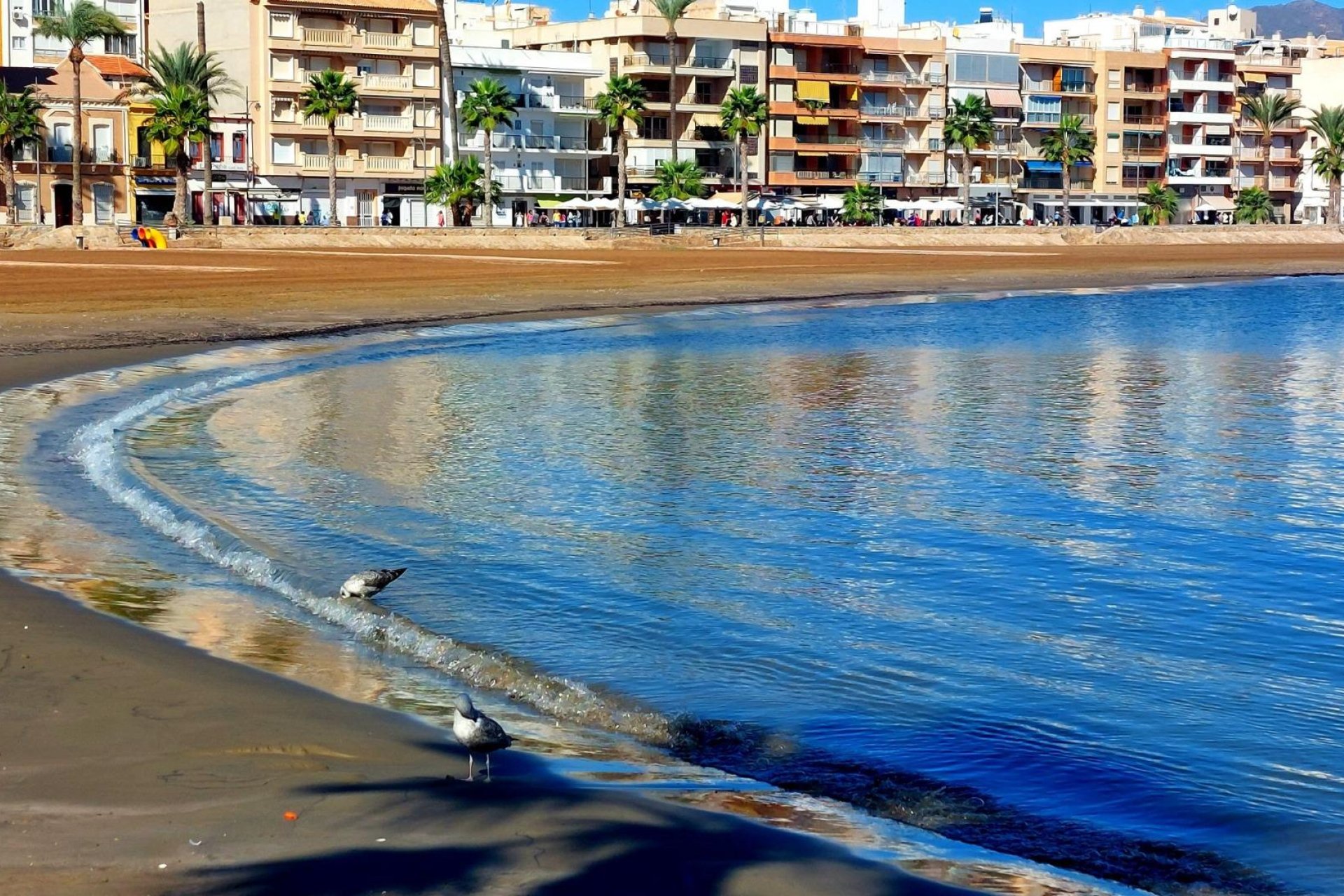 Nouvelle  - Villa - Fuente Álamo - La Pinilla