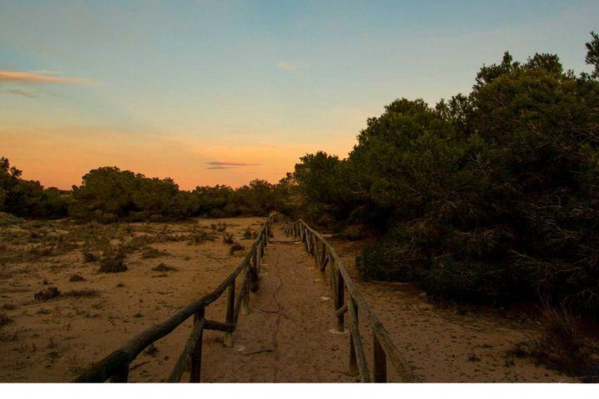 Nouvelle  - Villa - La Marina - La Marina / El Pinet