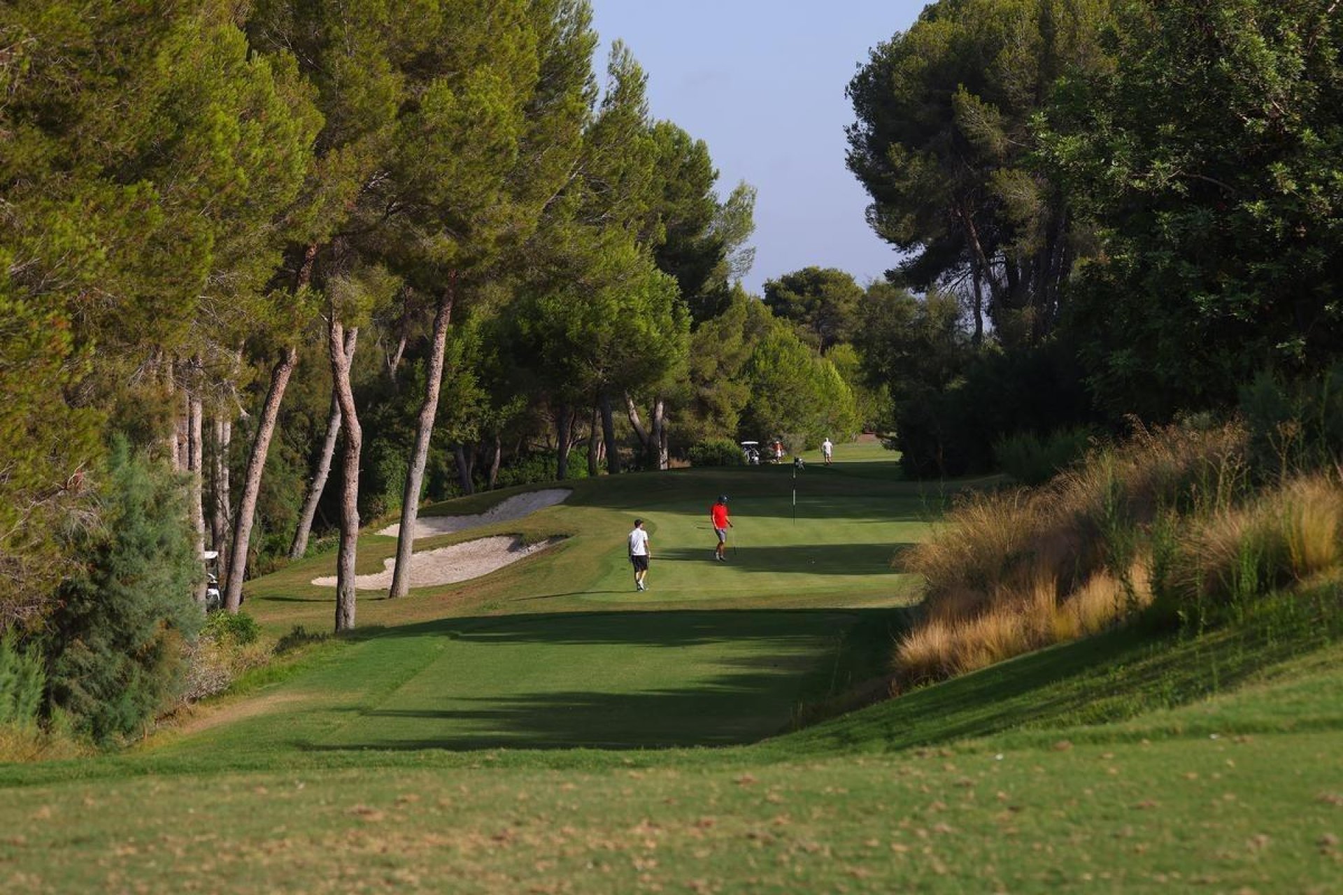 Nouvelle  - Villa - Orihuela - Las Colinas Golf