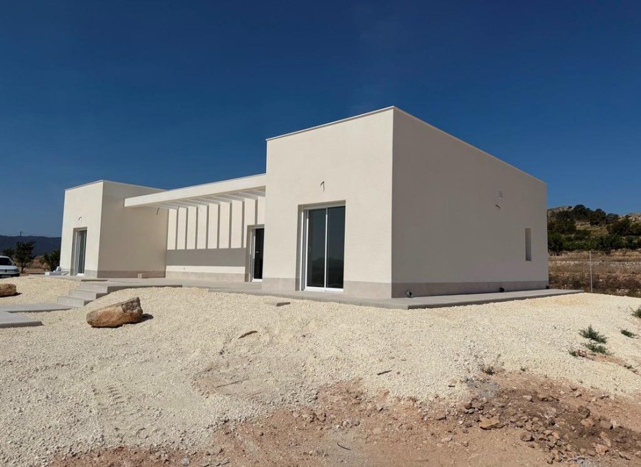 Nouvelle  - Villa - Pinoso - Camino Del Prado