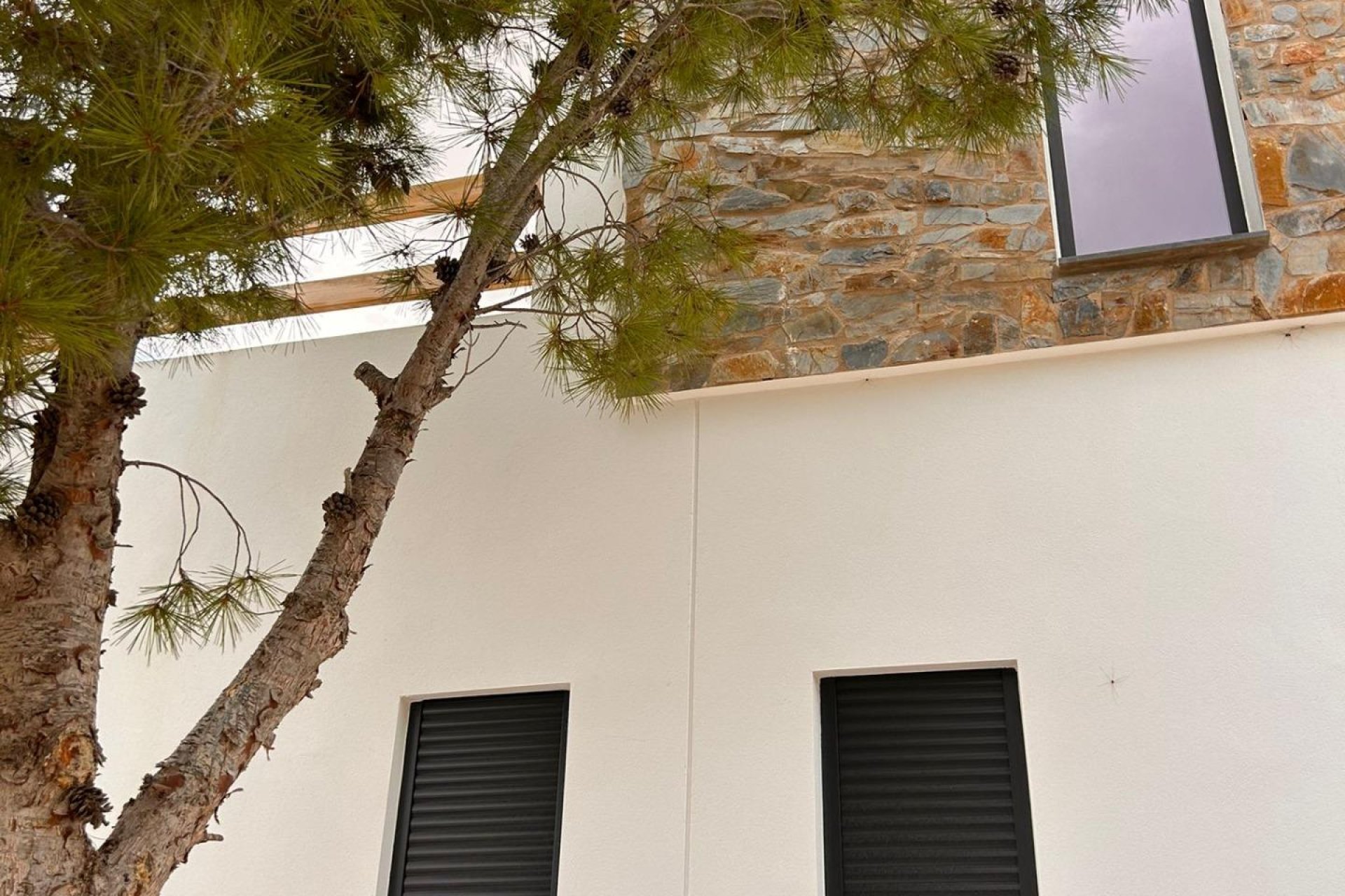 Nouvelle  - Villa - Pinoso - Casas Pastor