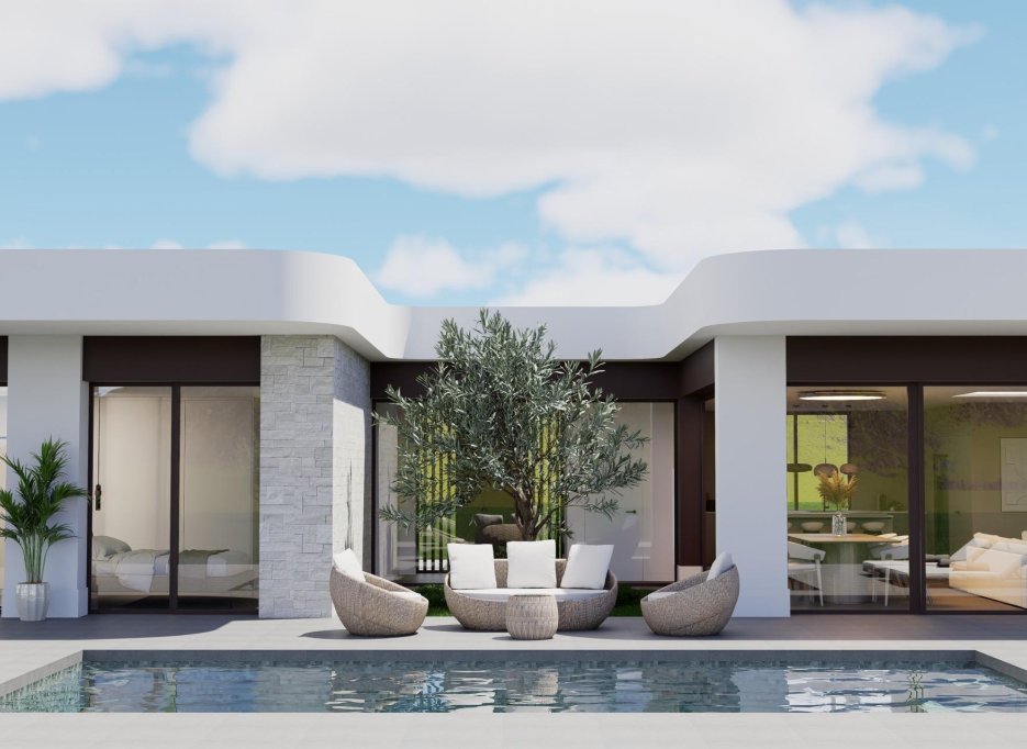 Nouvelle  - Villa - Pinoso - Lel