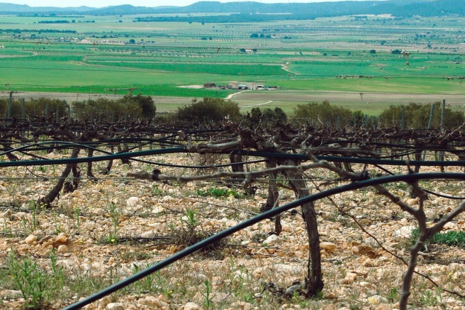 Nouvelle  - Villa - Yecla