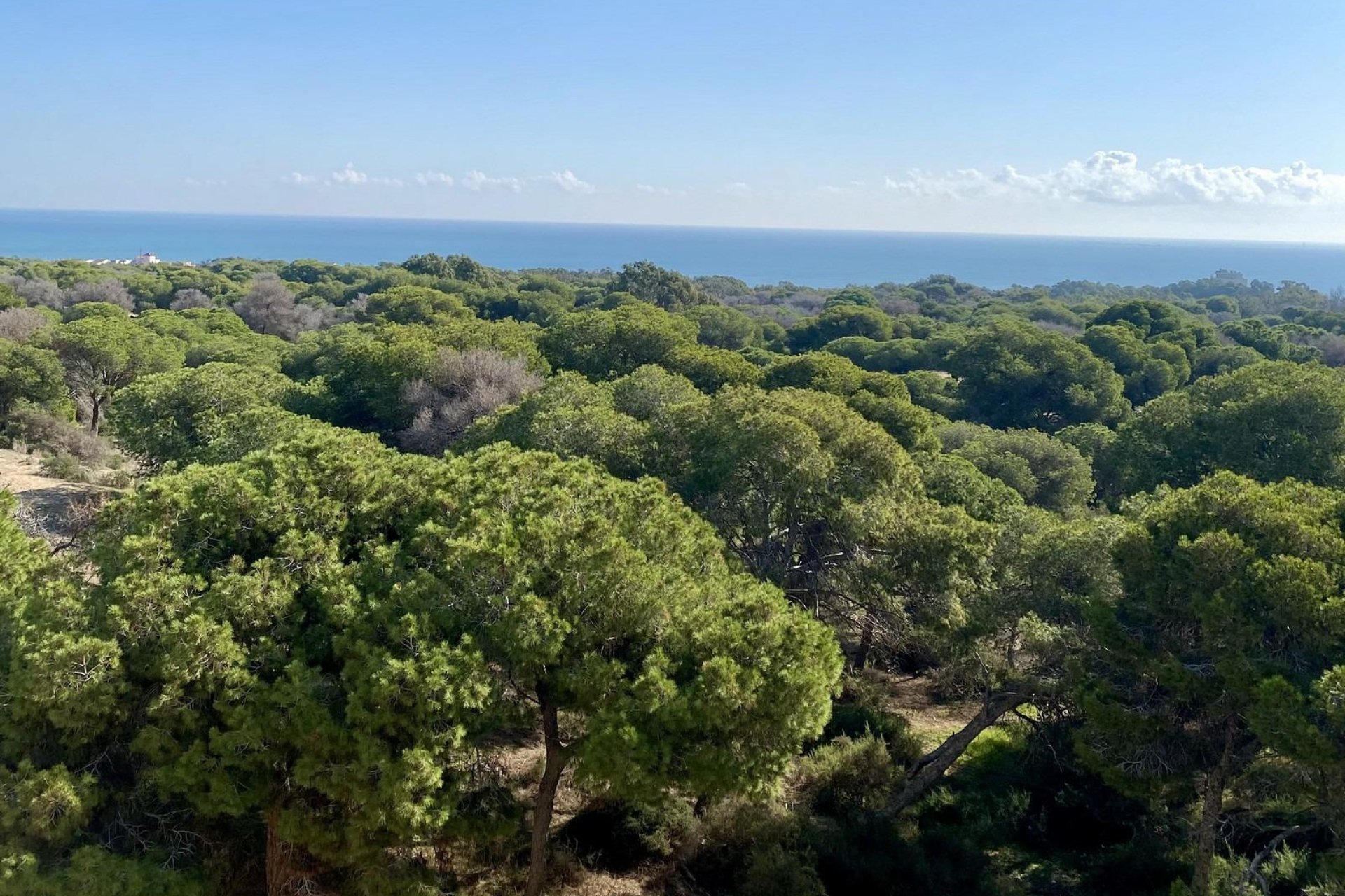 Nybygg - Apartment - Guardamar del Segura - Centro