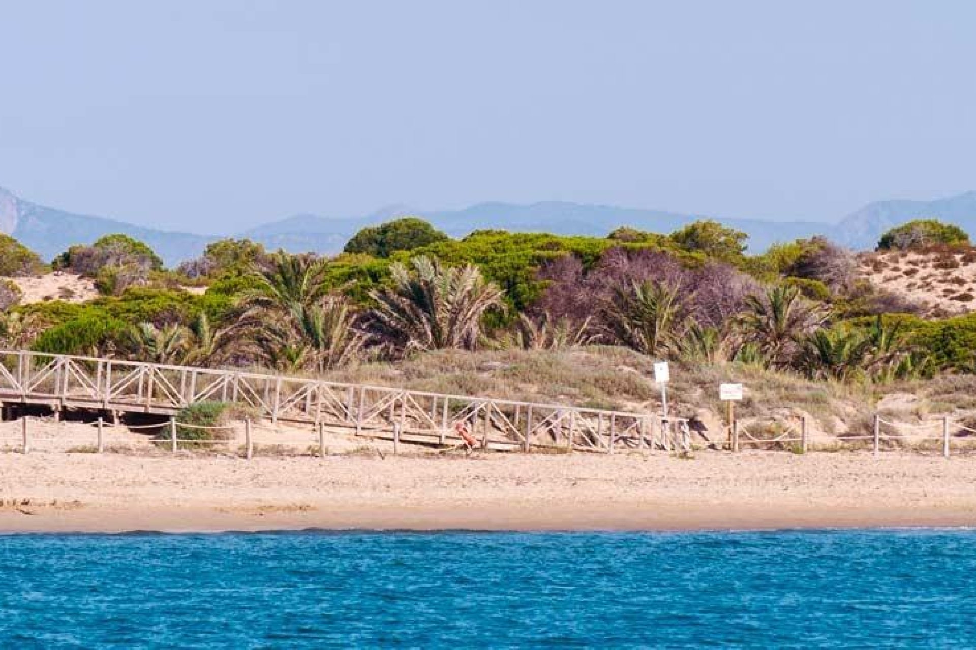 Nybygg - Toppleilighet - Guardamar del Segura - Pueblo